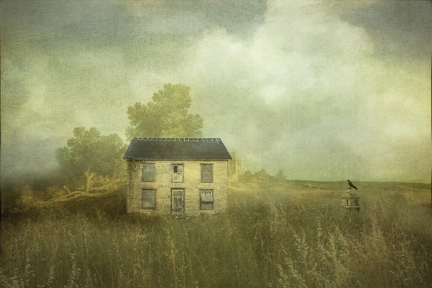 House on the Grasslands resized.jpg