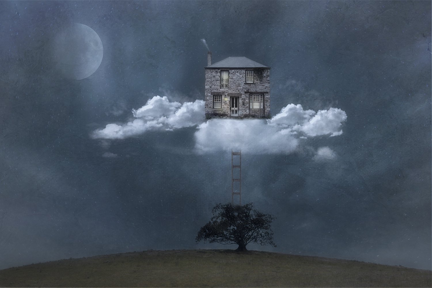 Tree House Night Sky Web.jpg