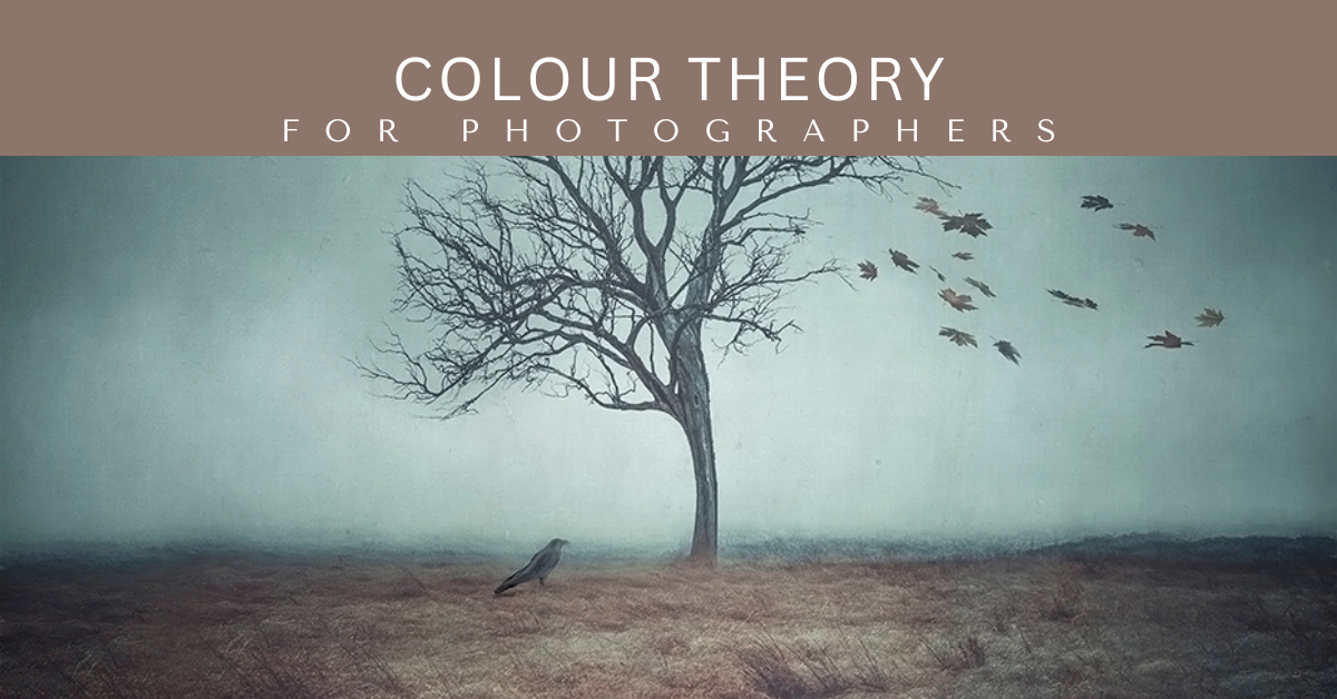 A powerful tool: Understanding Colour Theory for Photographers ~ Blog