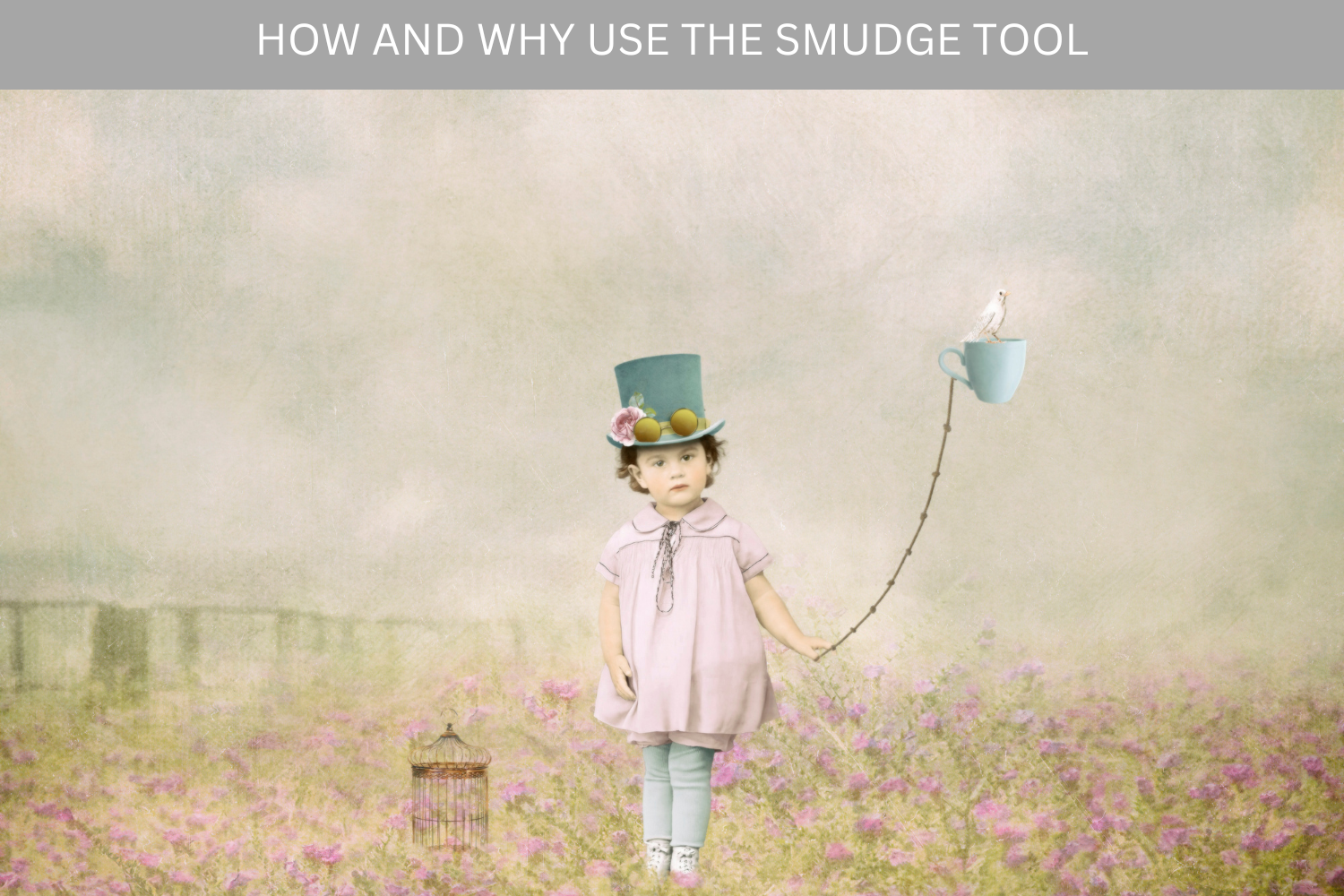 How to use the Smudge Tool - Video