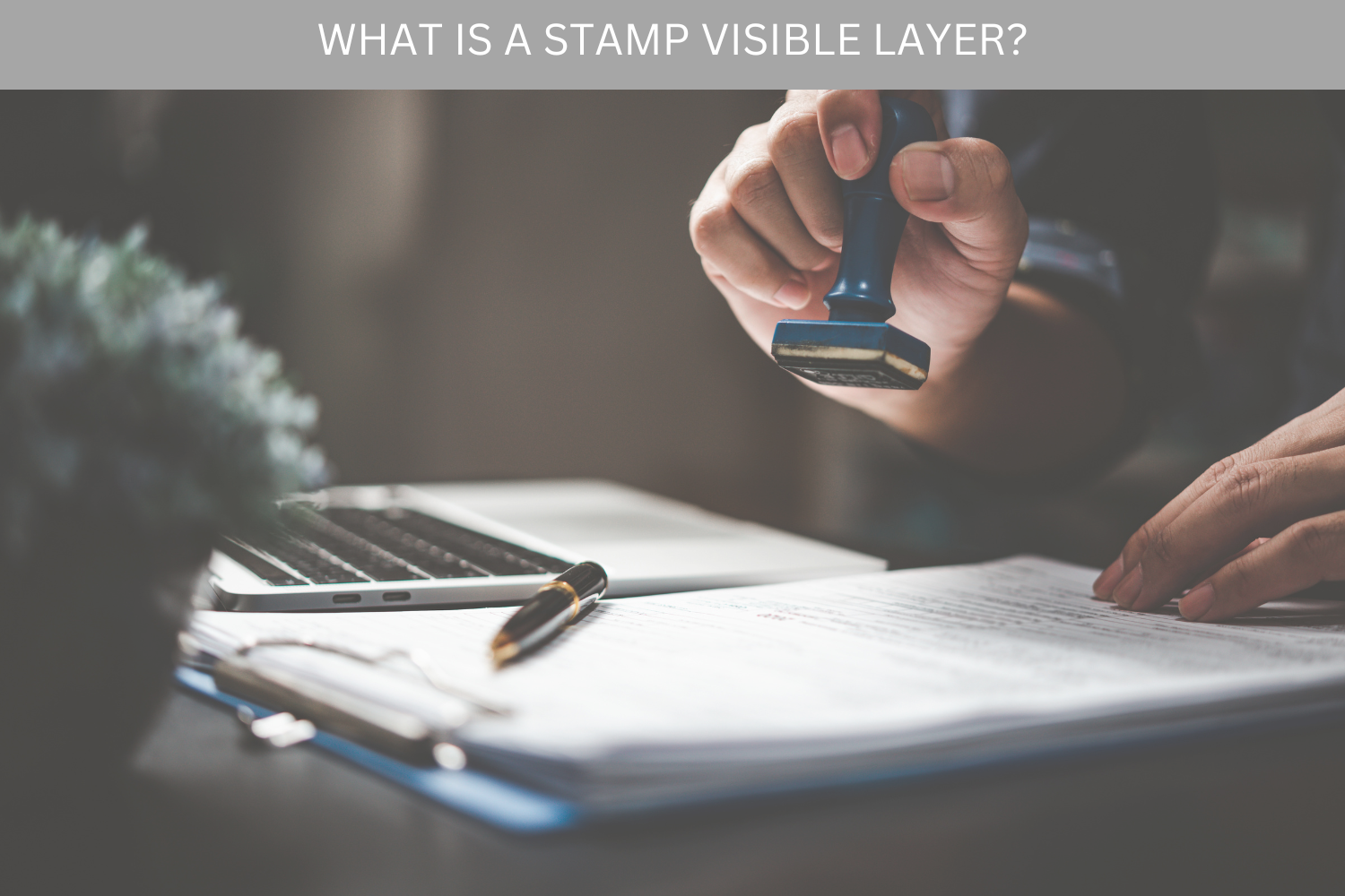 How to use the Stamp Visible Layer - Video