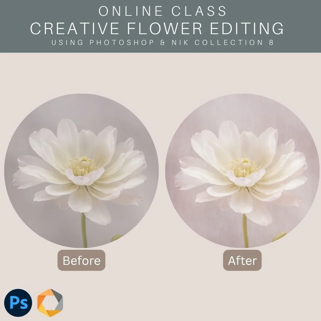 CREATIVE FLOWER EDITING using Photoshop & Nik Collection 8