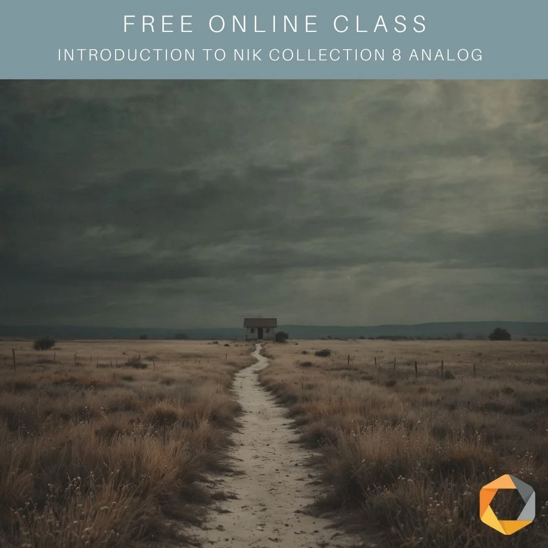 FREE SESSION HOW TO USE NIK COLLECTION 8 ANALOG