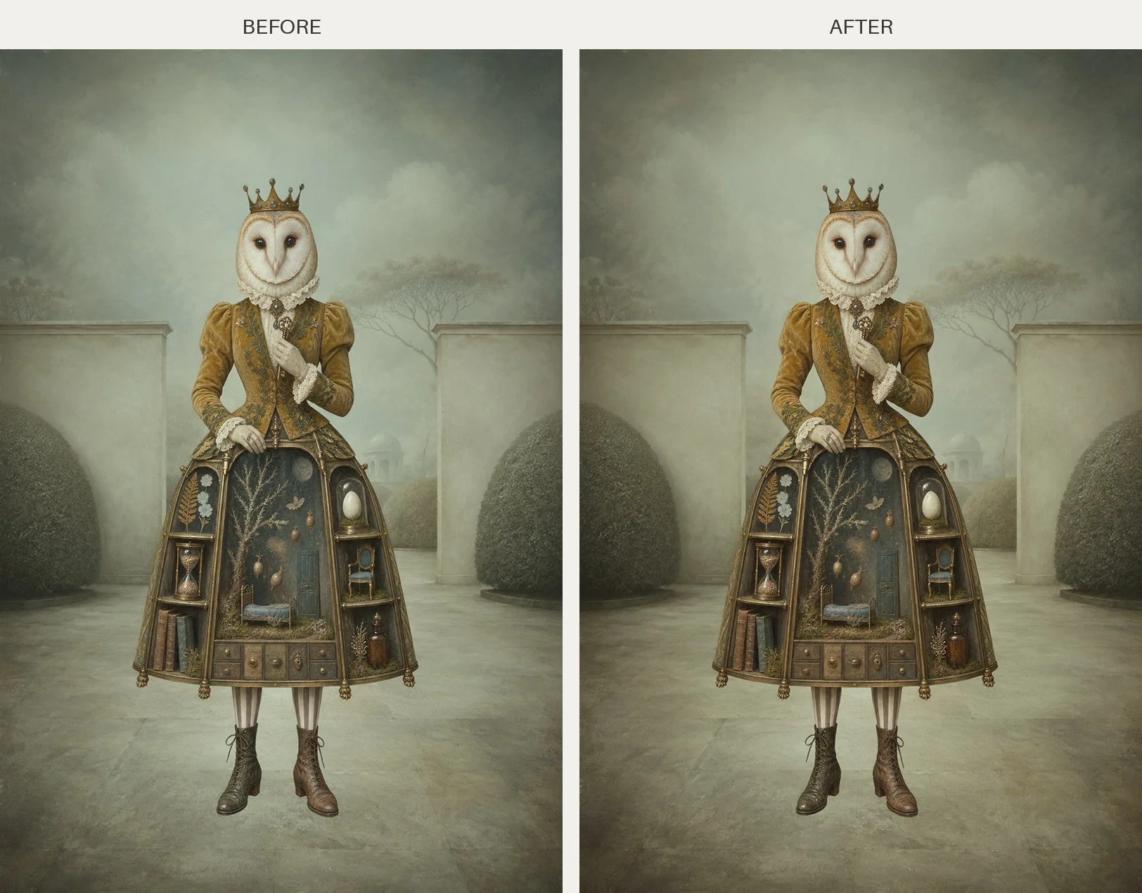 owl_before_after_colour_tone.jpg