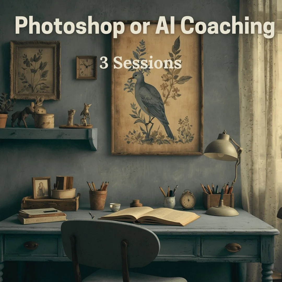 Photoshop or AI Coaching — 3 Session Package (3 x 1 hour)