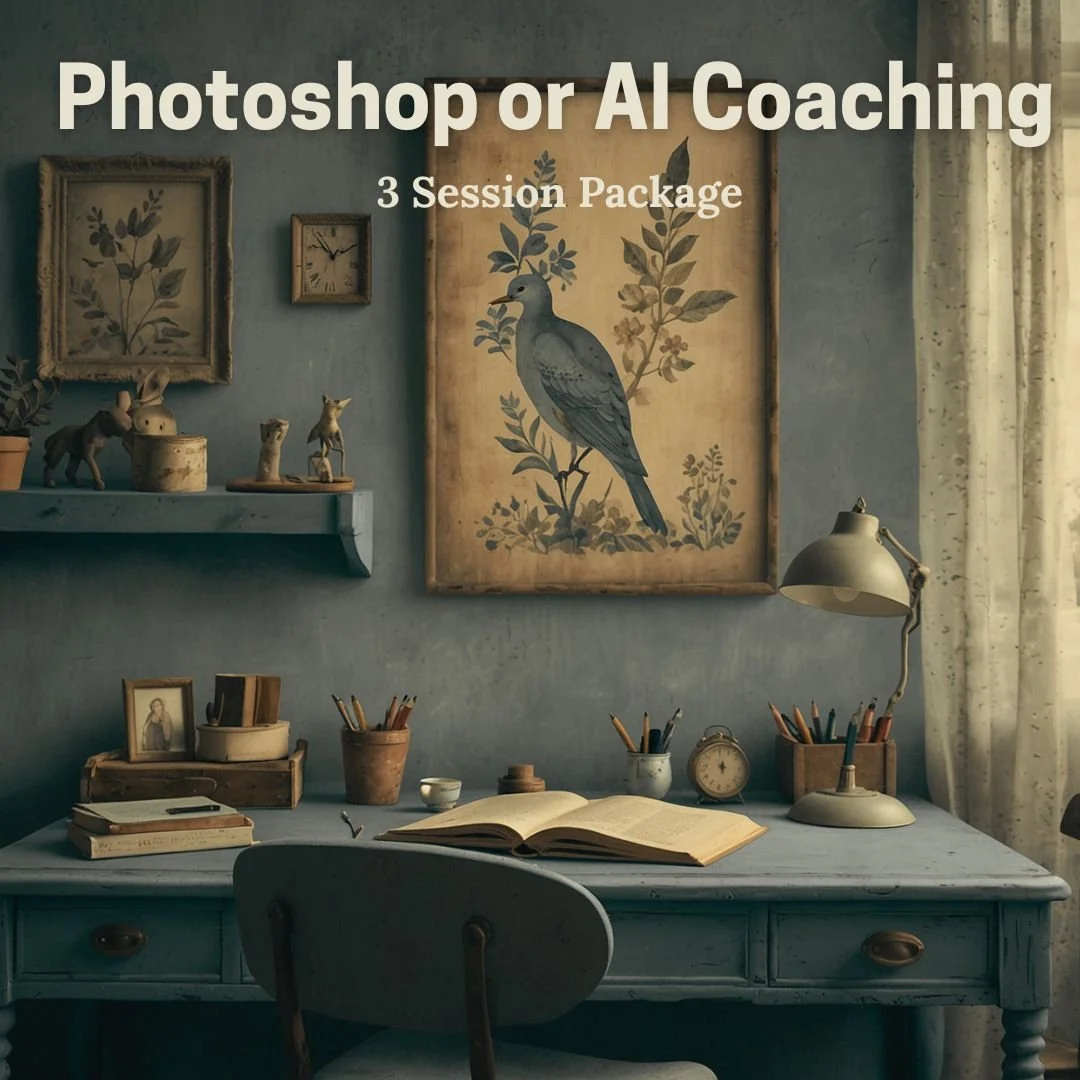 Photoshop or AI Coaching — 3 Session Package (3 x 1 hour)
