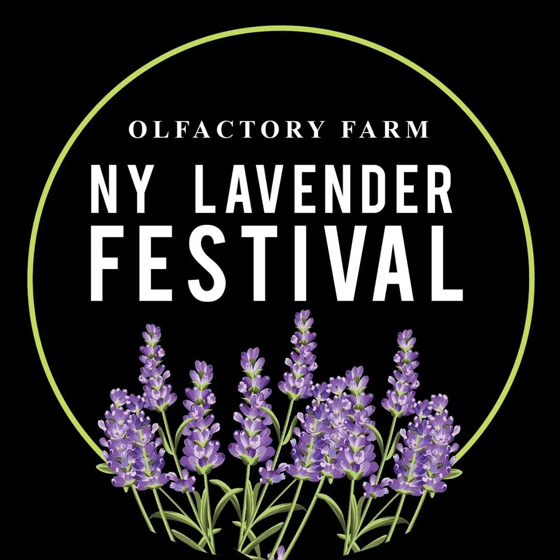 Lavender Festival
