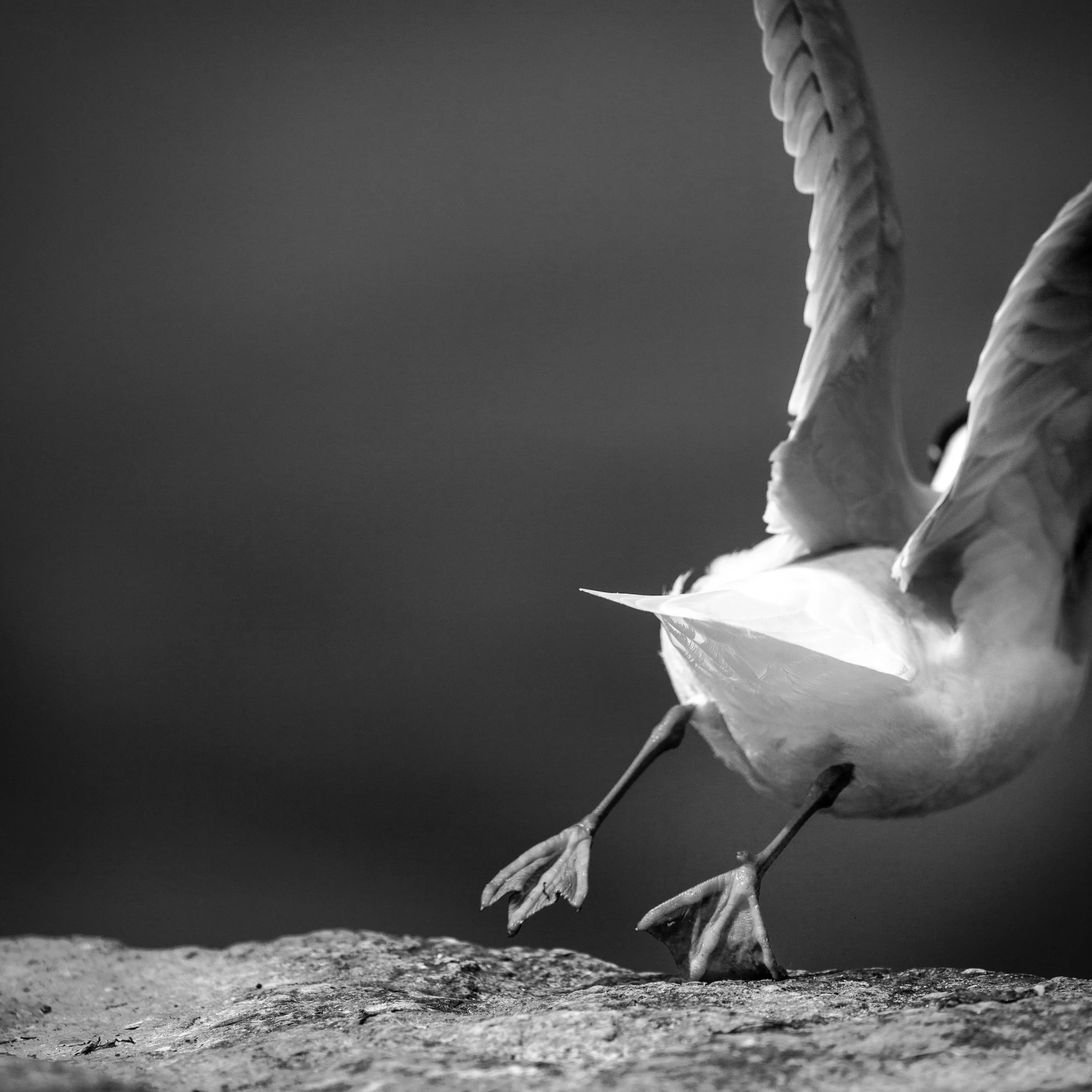 Goodbye Boring Businesses. We Invest in Companies That Care What Happens Next.