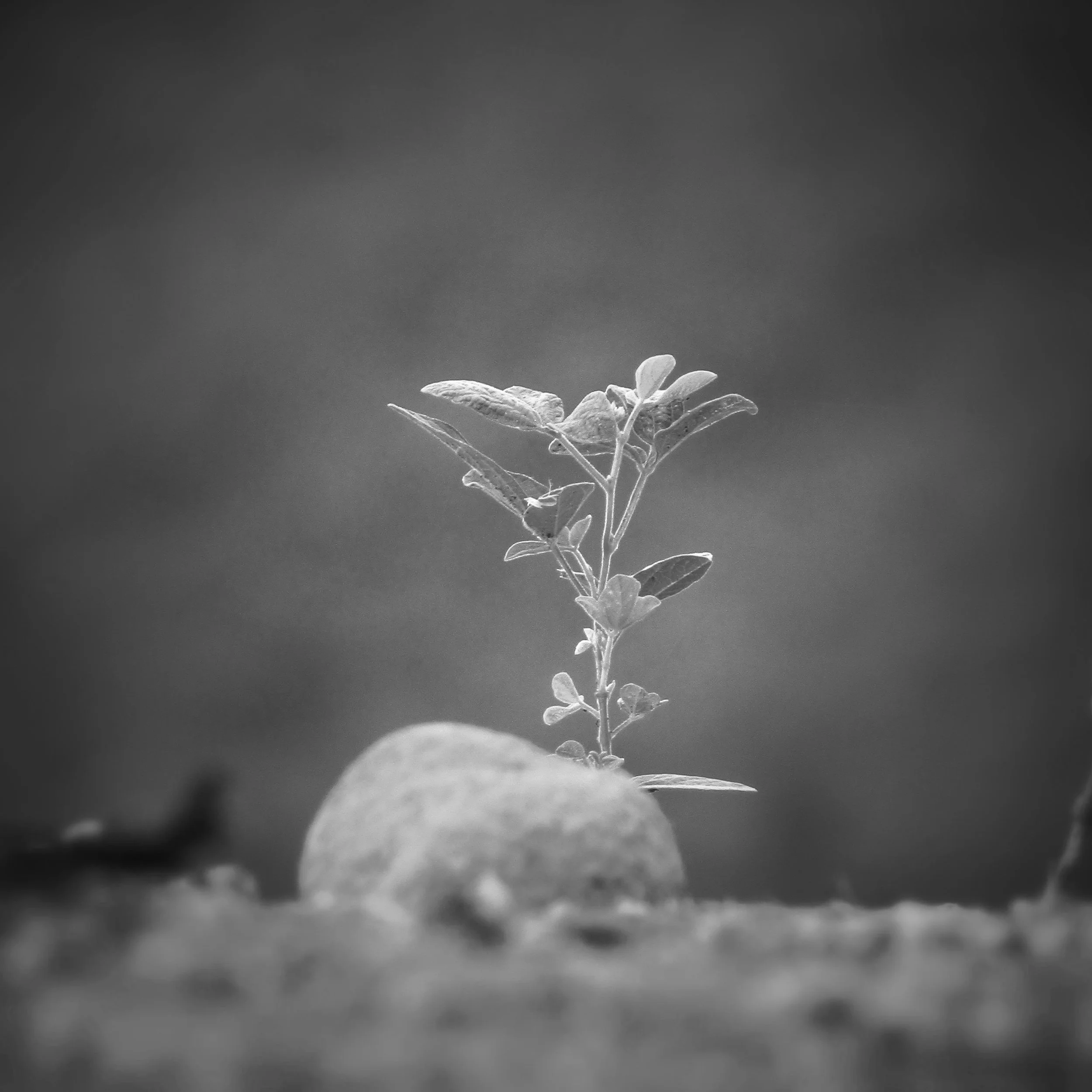 How Patience Pays Off