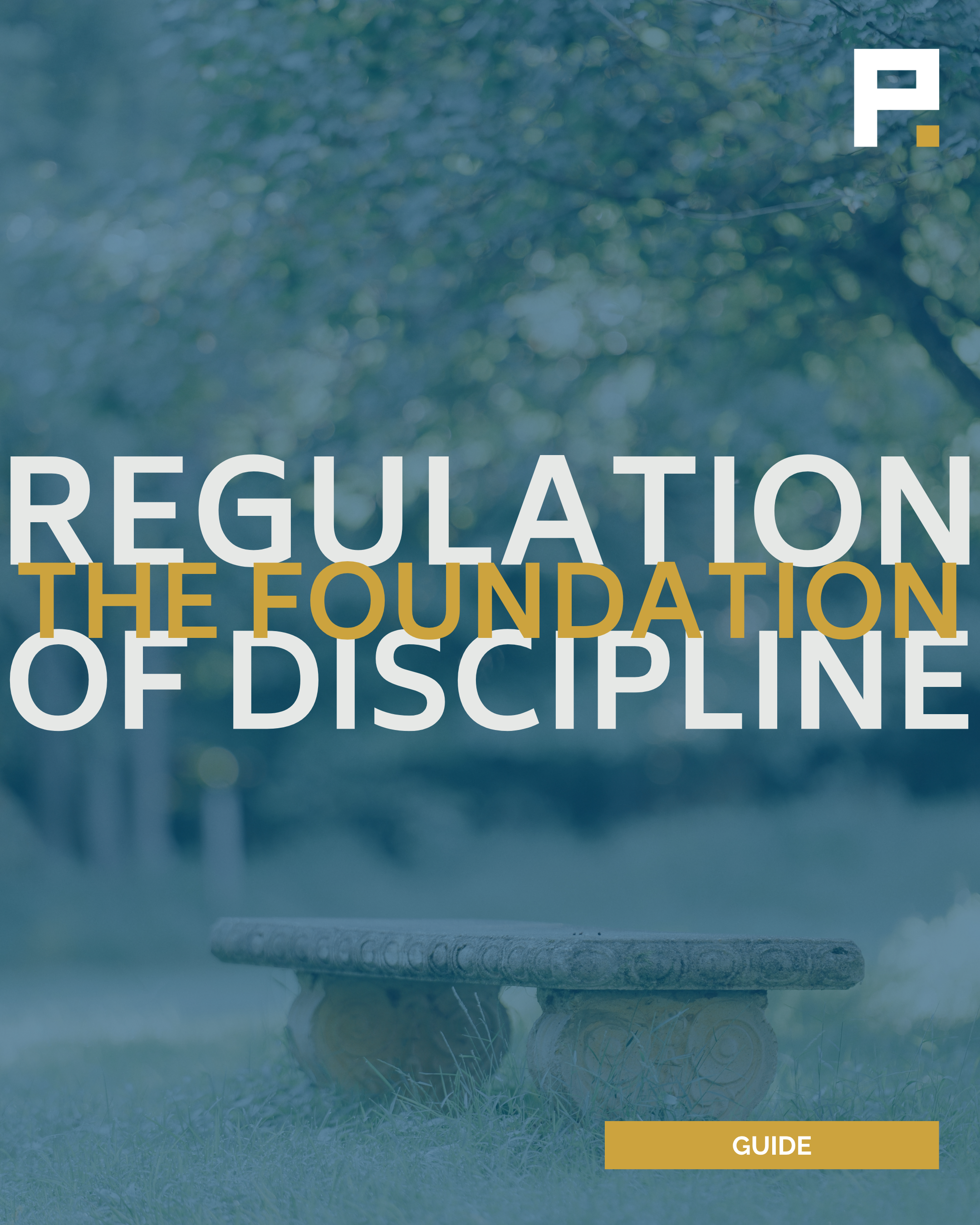 Regulation: The Foundation of Discipline