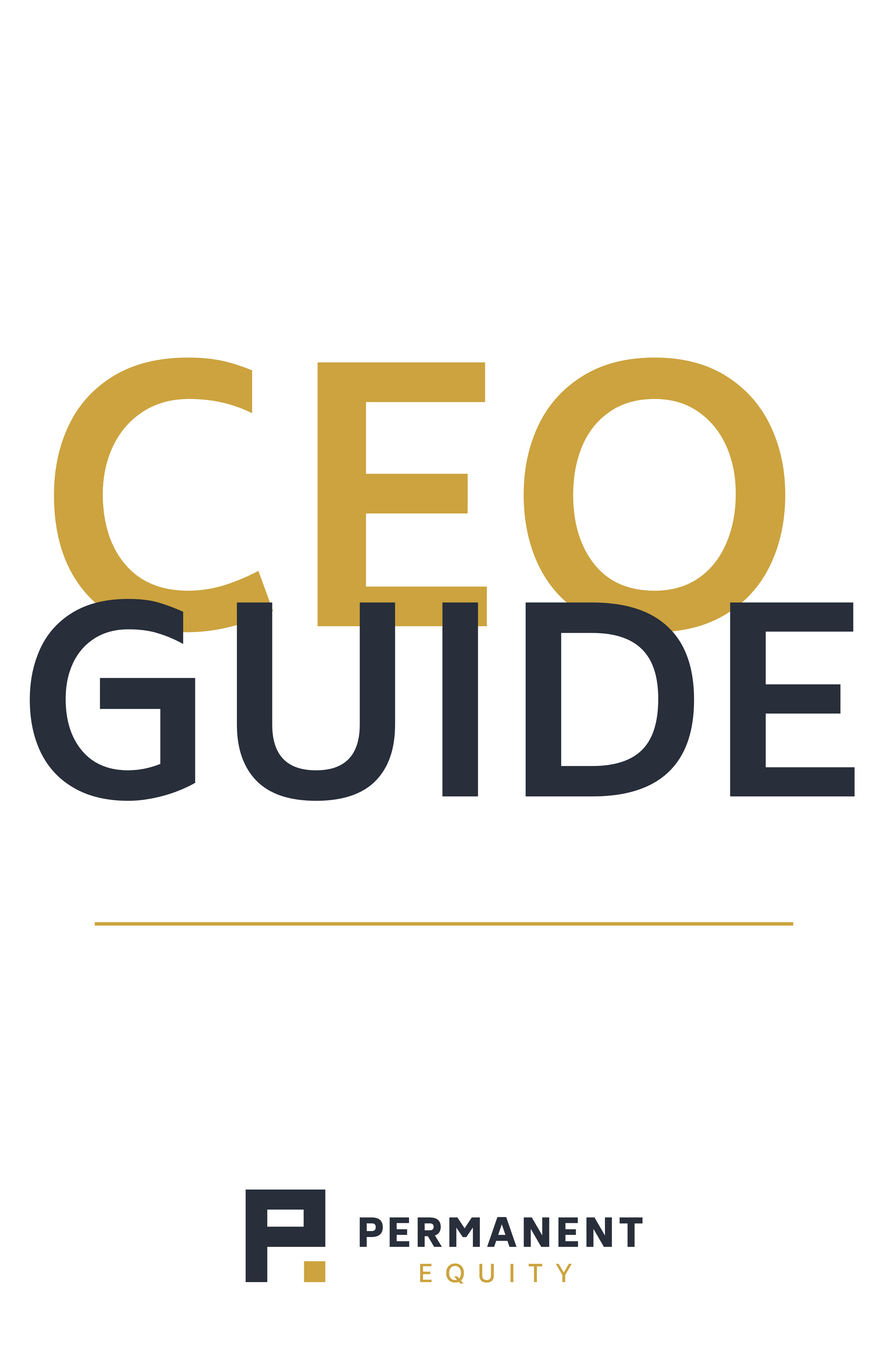 CEO Guide — Permanent Equity: Investing in Companies that Care What ...