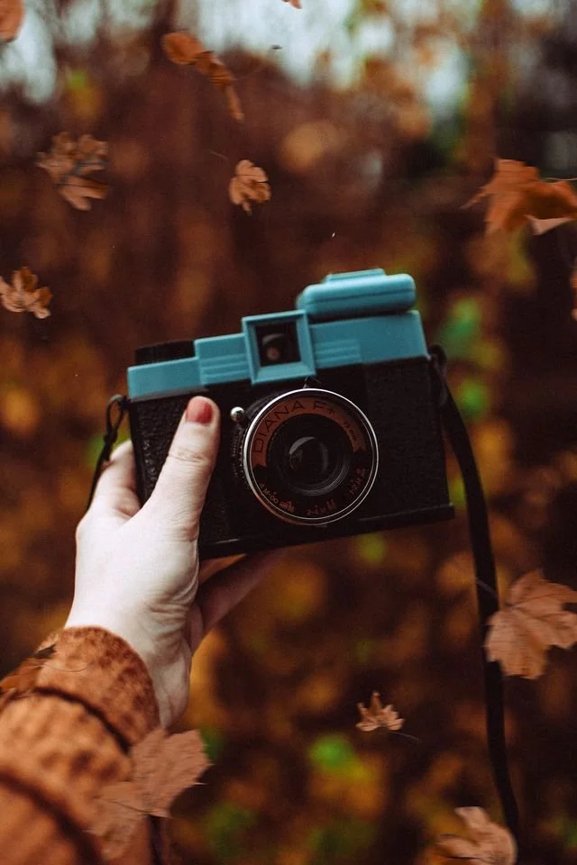 Fall Video Recordings