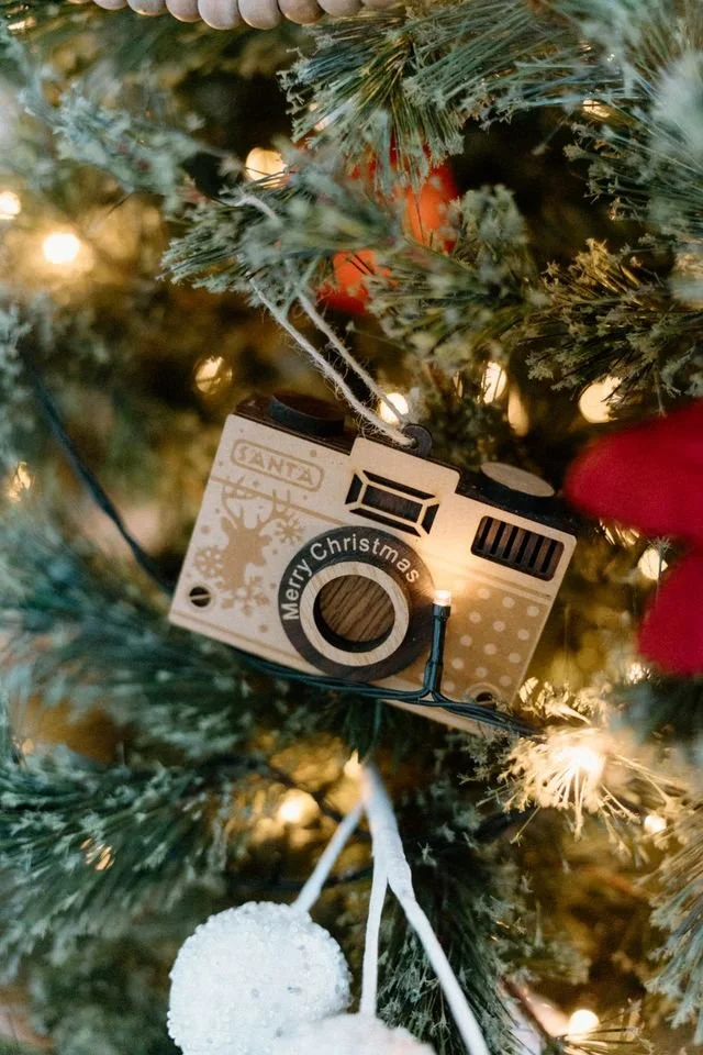 Winter Video Recordings