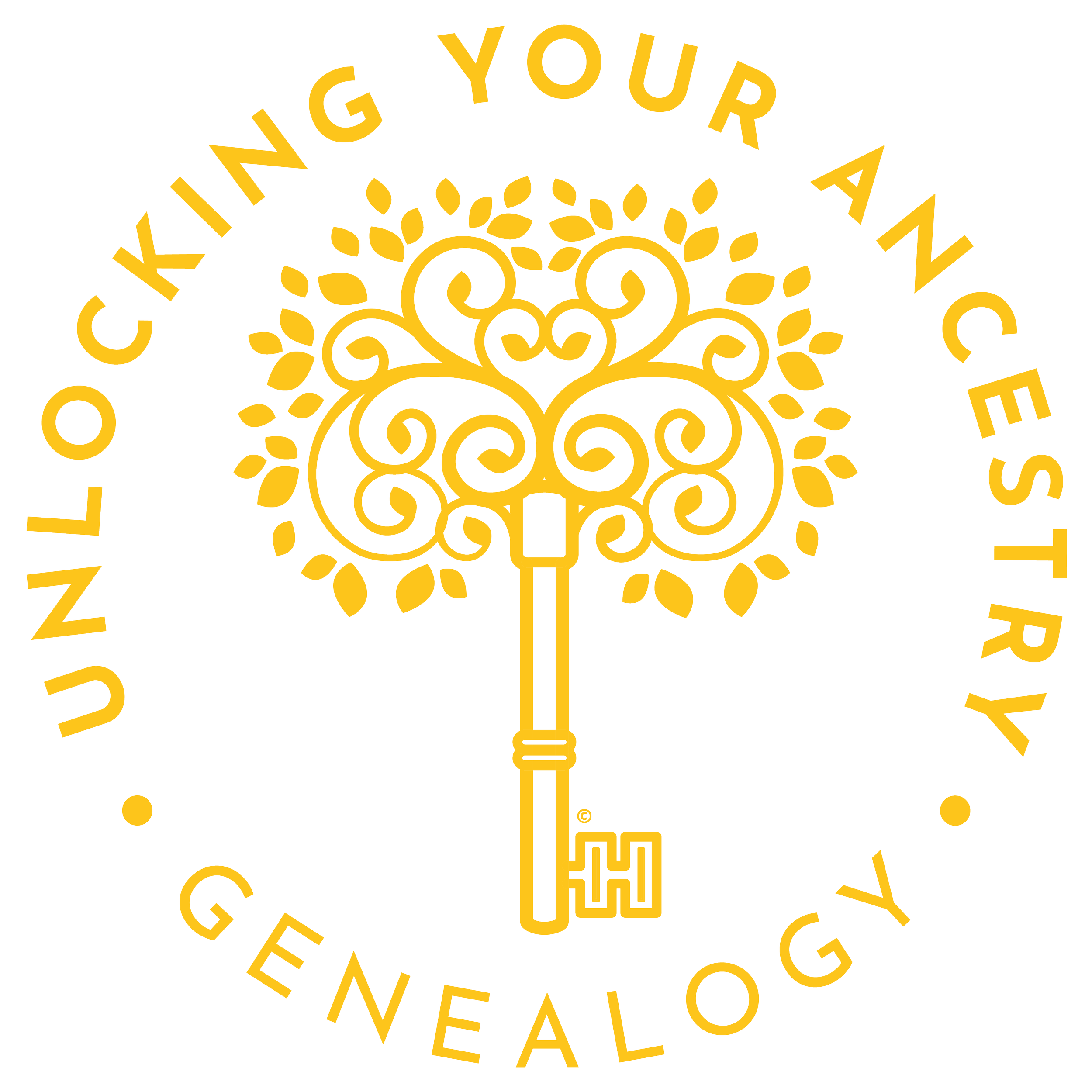 Unlocking Your Ancestry(02)