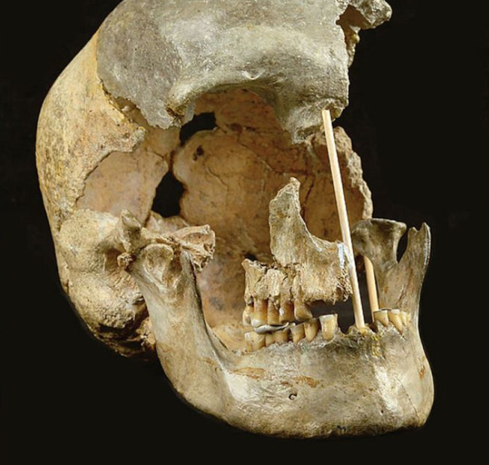 Oldest Human DNA Reveals Lost Branch of the Human Family Tree