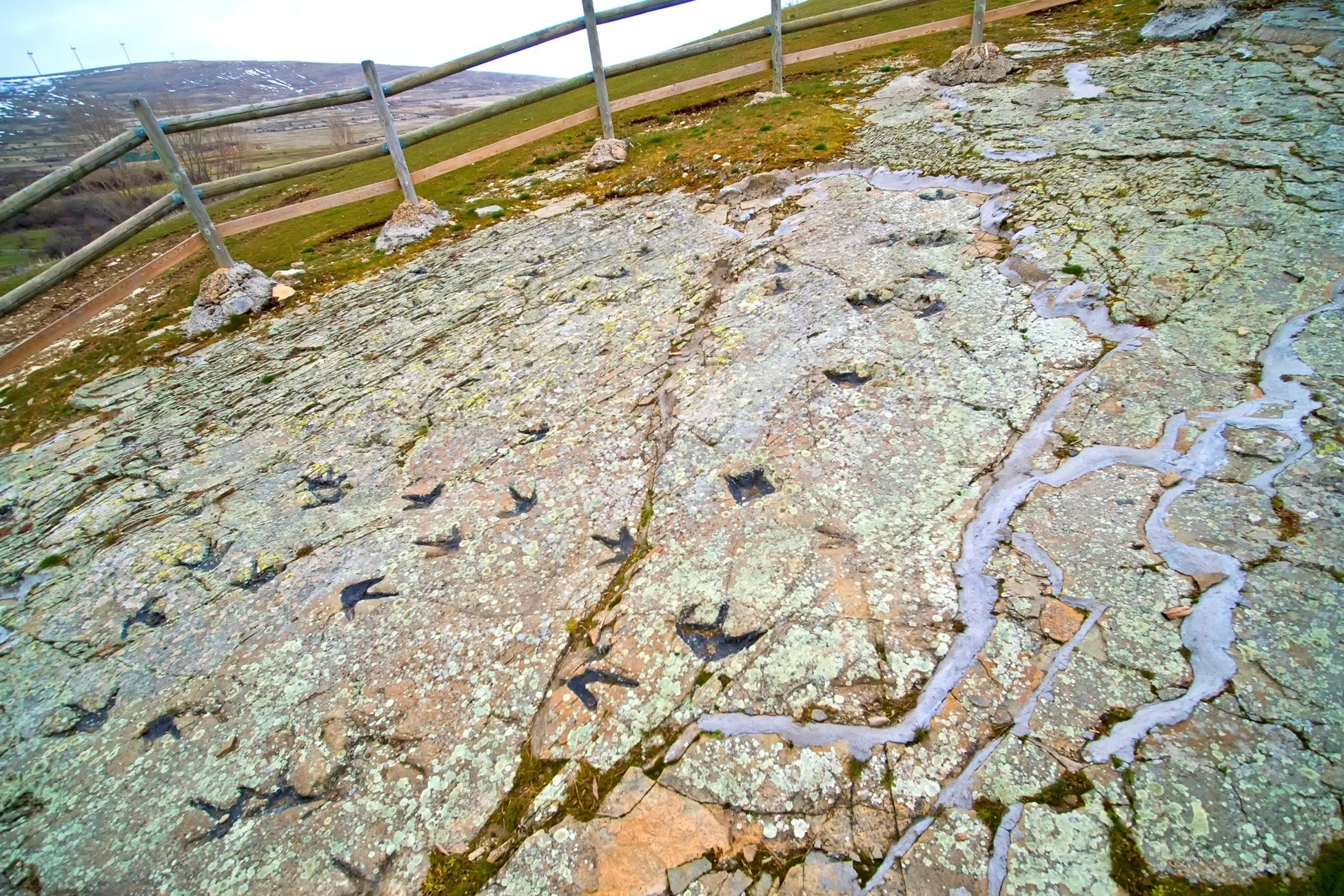 Hundreds of Preserved Dinosaur Footprints
