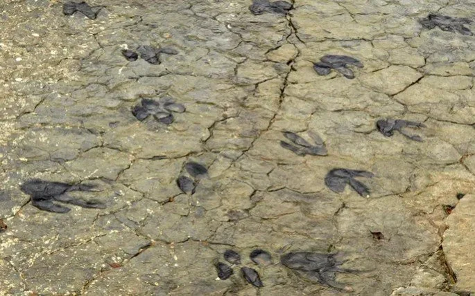 Dinosaurs of the Ichnite Route, Soria, Spain