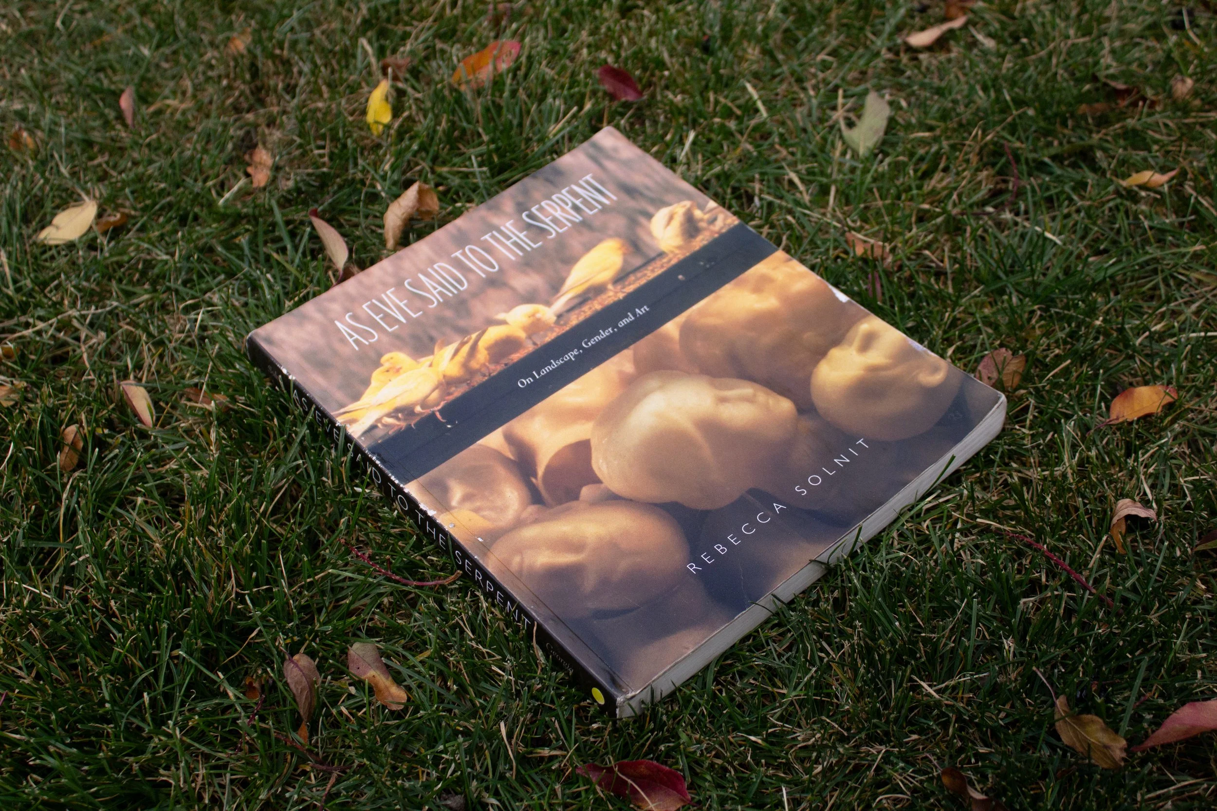 A meandering, thought-provoking series of essays exploring ecological art criticism. Wonderful essay on the poetics of dirt. 