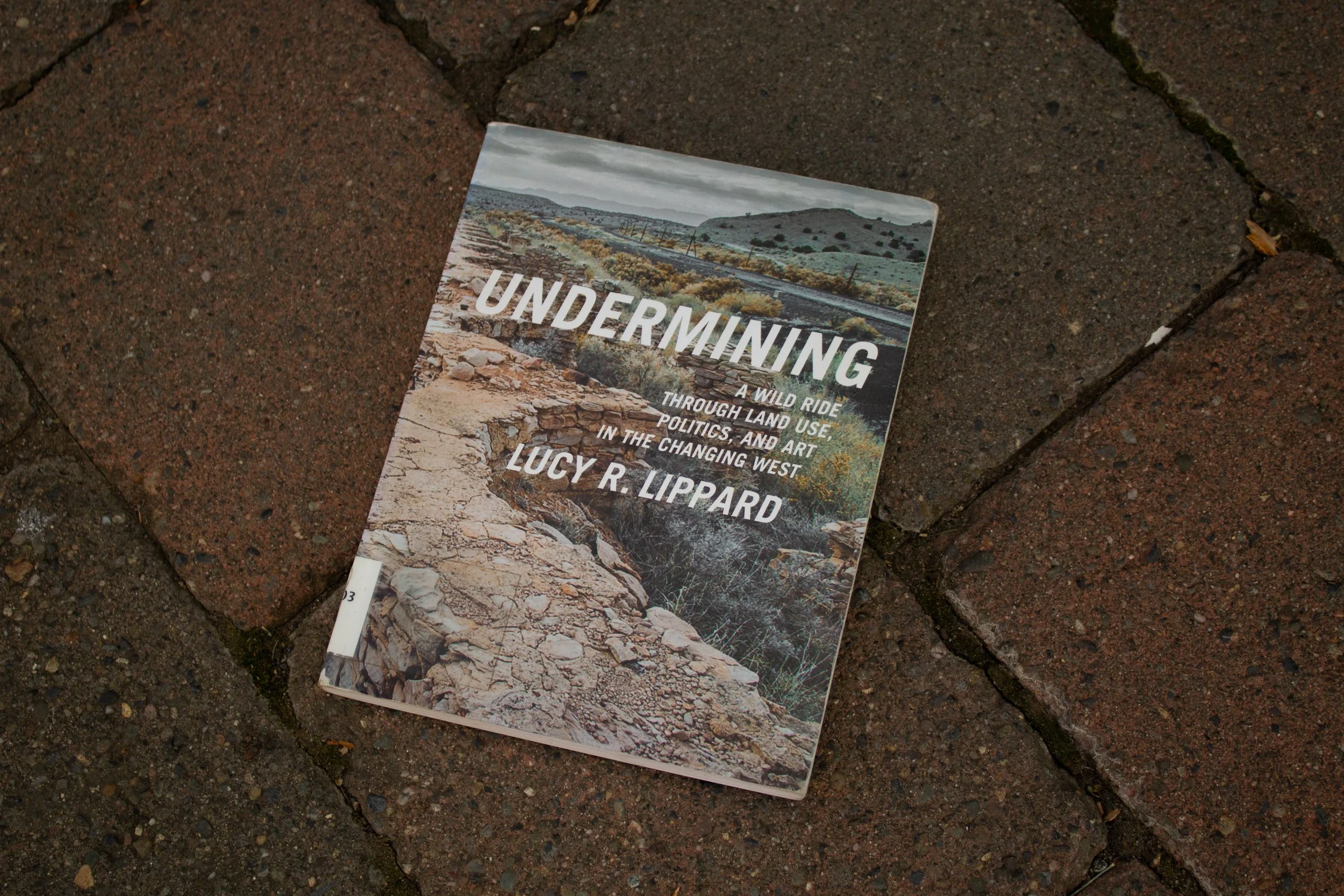 A very visual book on the poetics of extraction. Includes many artists whose work addresses mining. 