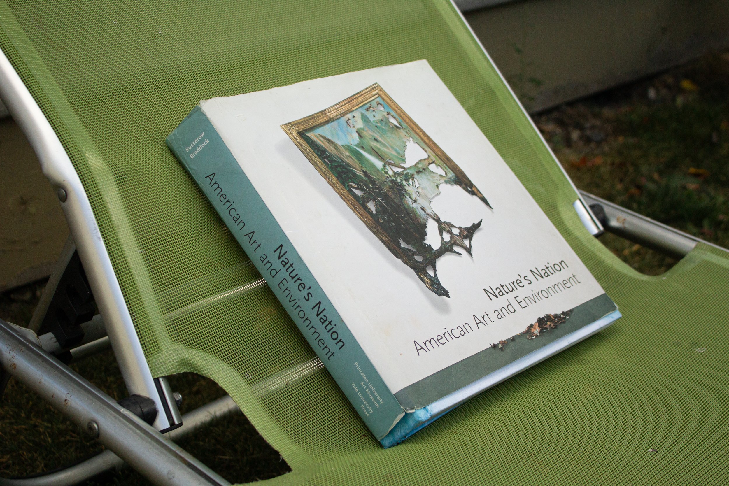 This anthology provides a clear and powerful overview of major themes and issues in American environmental art history. 