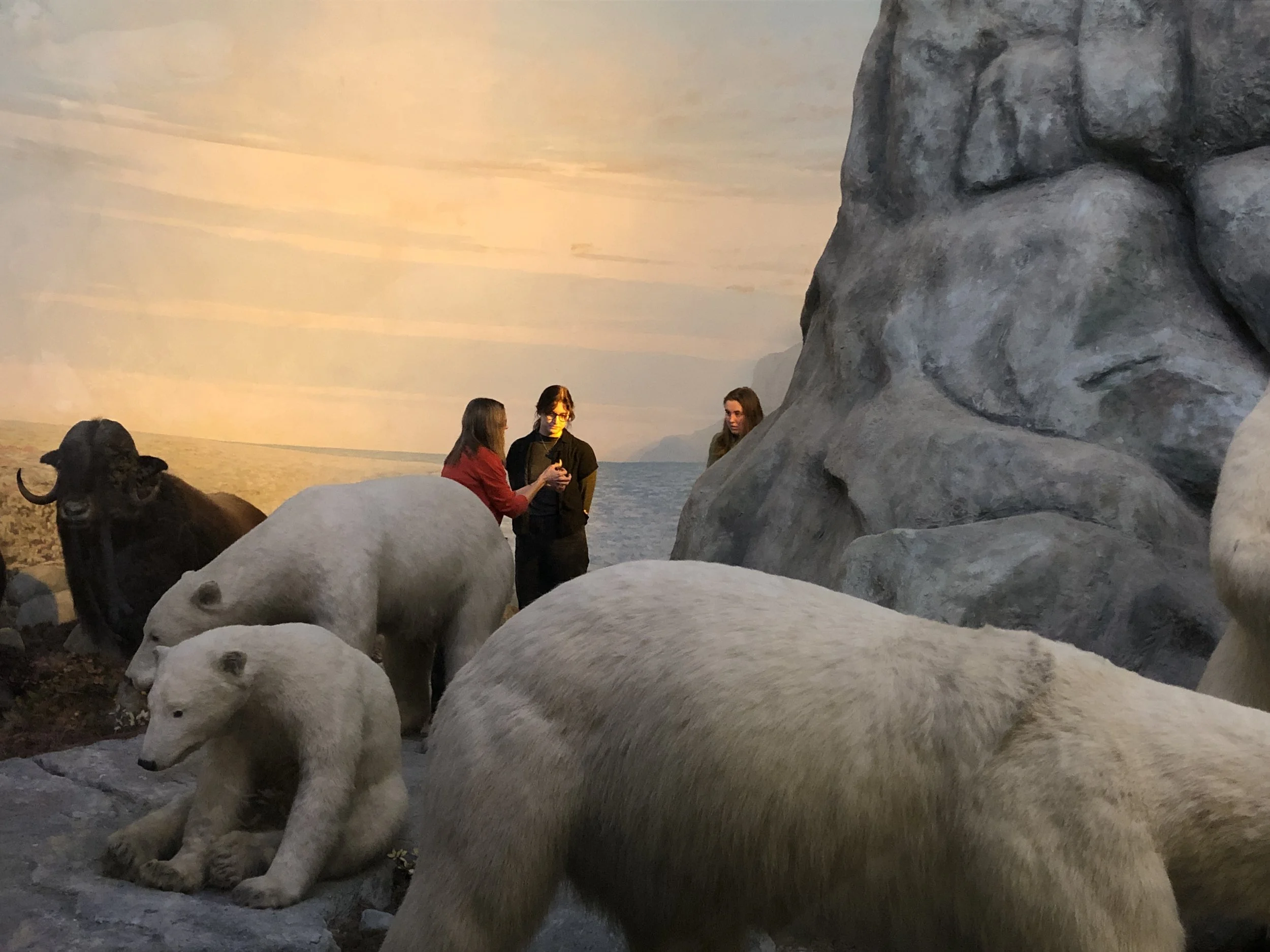 Field trip into the Panorama at the KU Natural History Museum. Art and Ecology, Spring 2024, University of Kansas