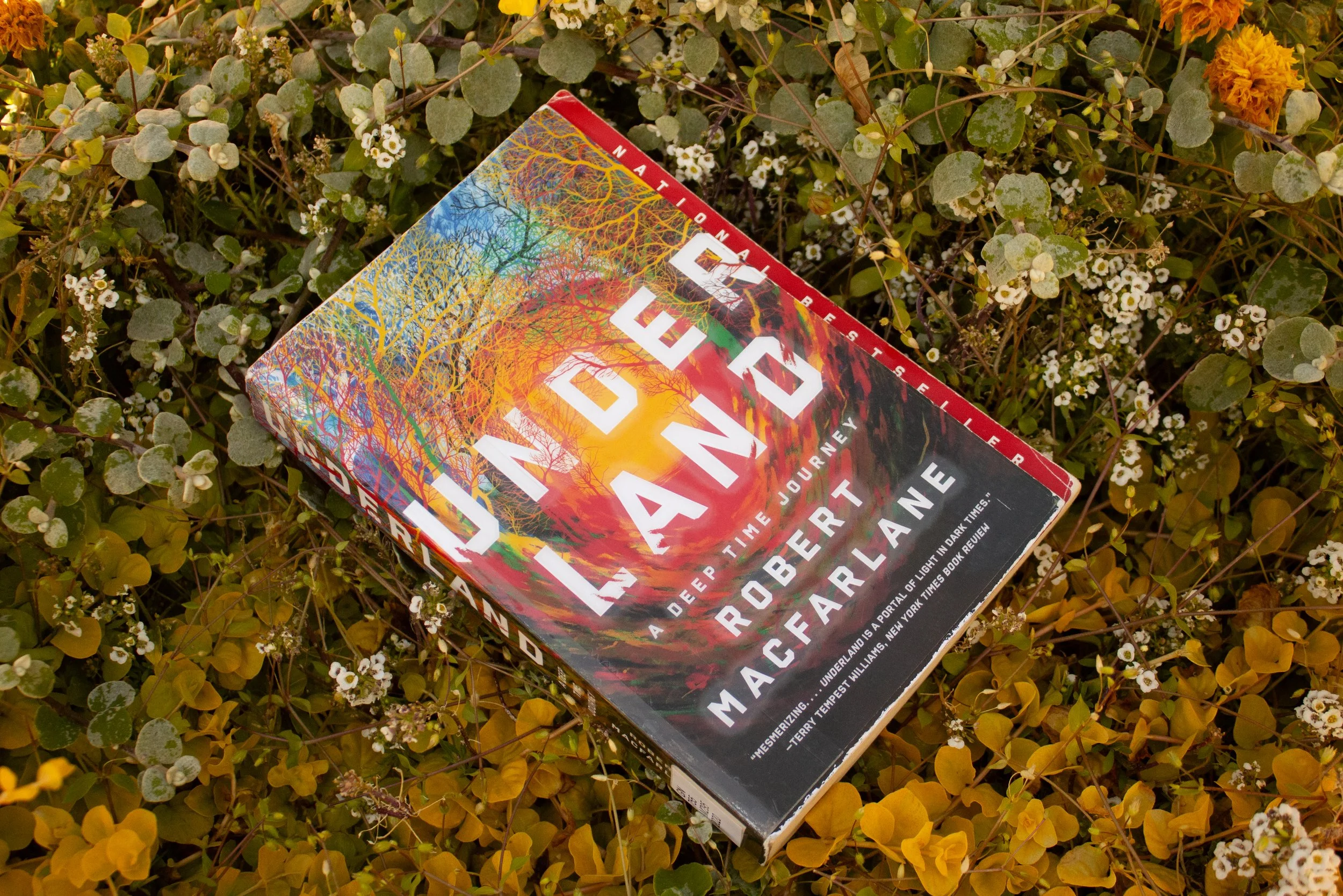 A cultural study of the underground. Excellent, general audience read. 