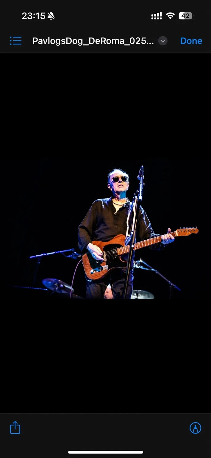 David Surkamp performing on stage with electric guitar.
