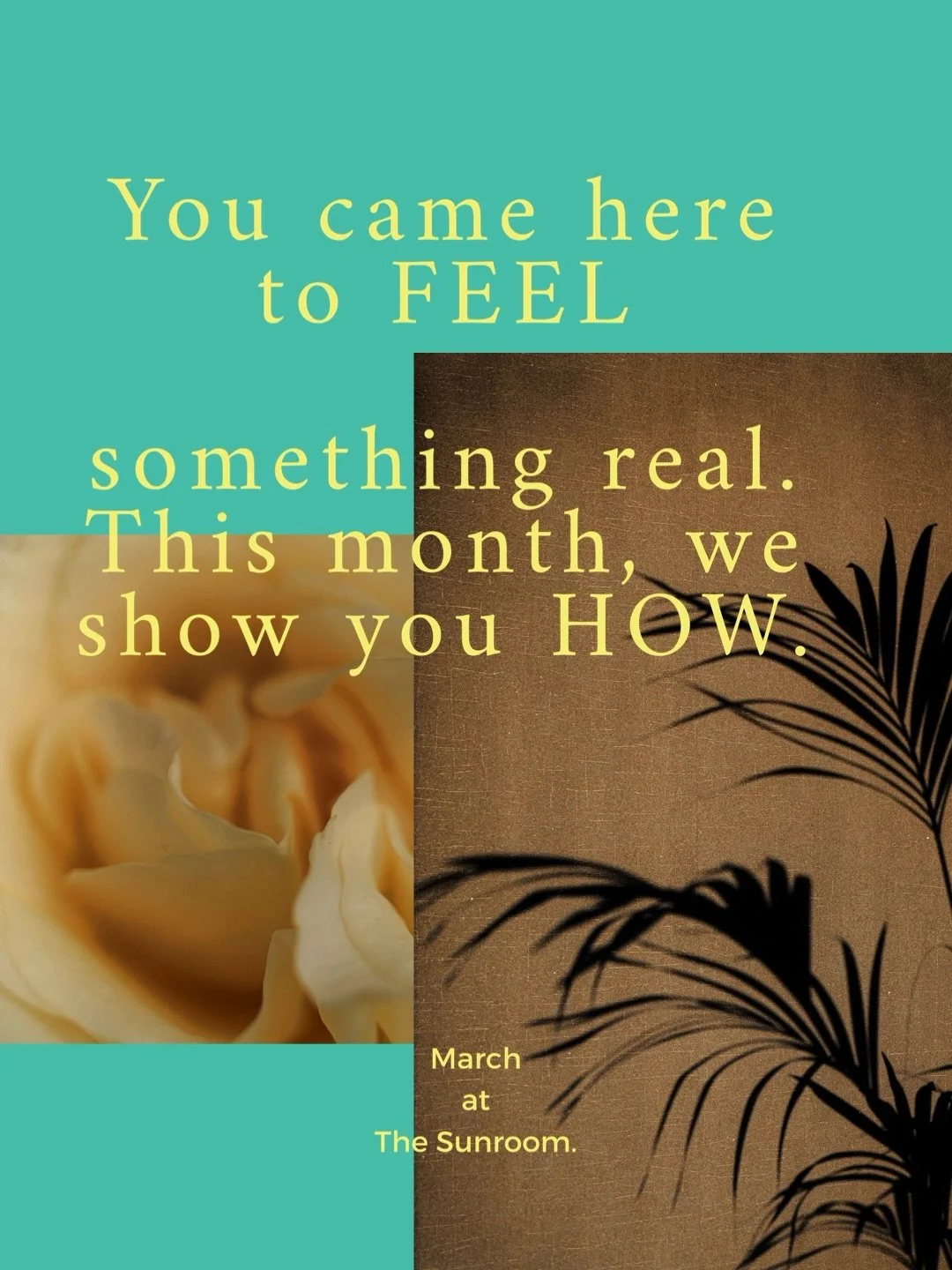 Hey Sunnies, stay in the know.
The March Newsletter is live.
This month we&rsquo;re dropping:
New morning rituals
Music-driven movement with artists you love
Breathwork that rewires your nervous system
Consciousness exploration for those ready to go 