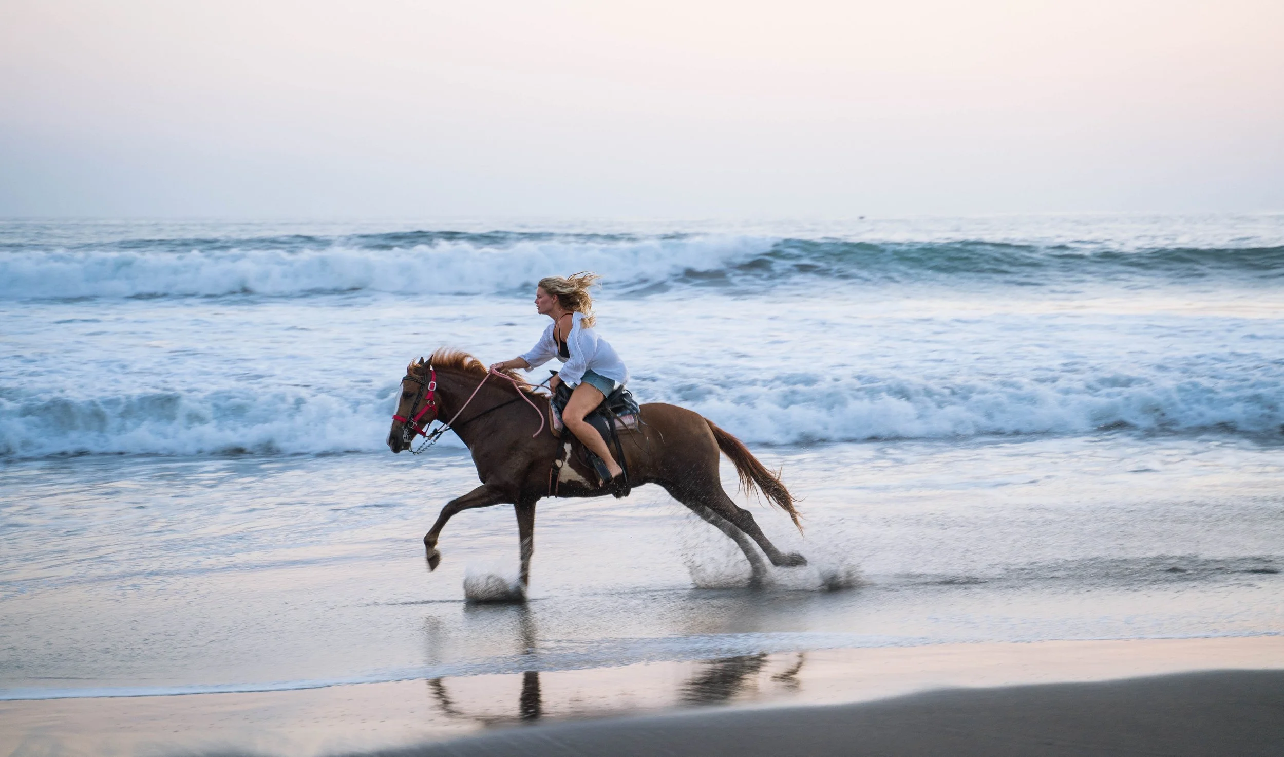 Unlimited horse back riding