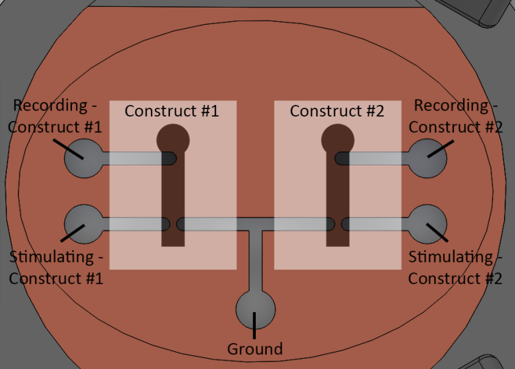 Diagram of how the mask's electrode layout corresponds to the neurite constructs