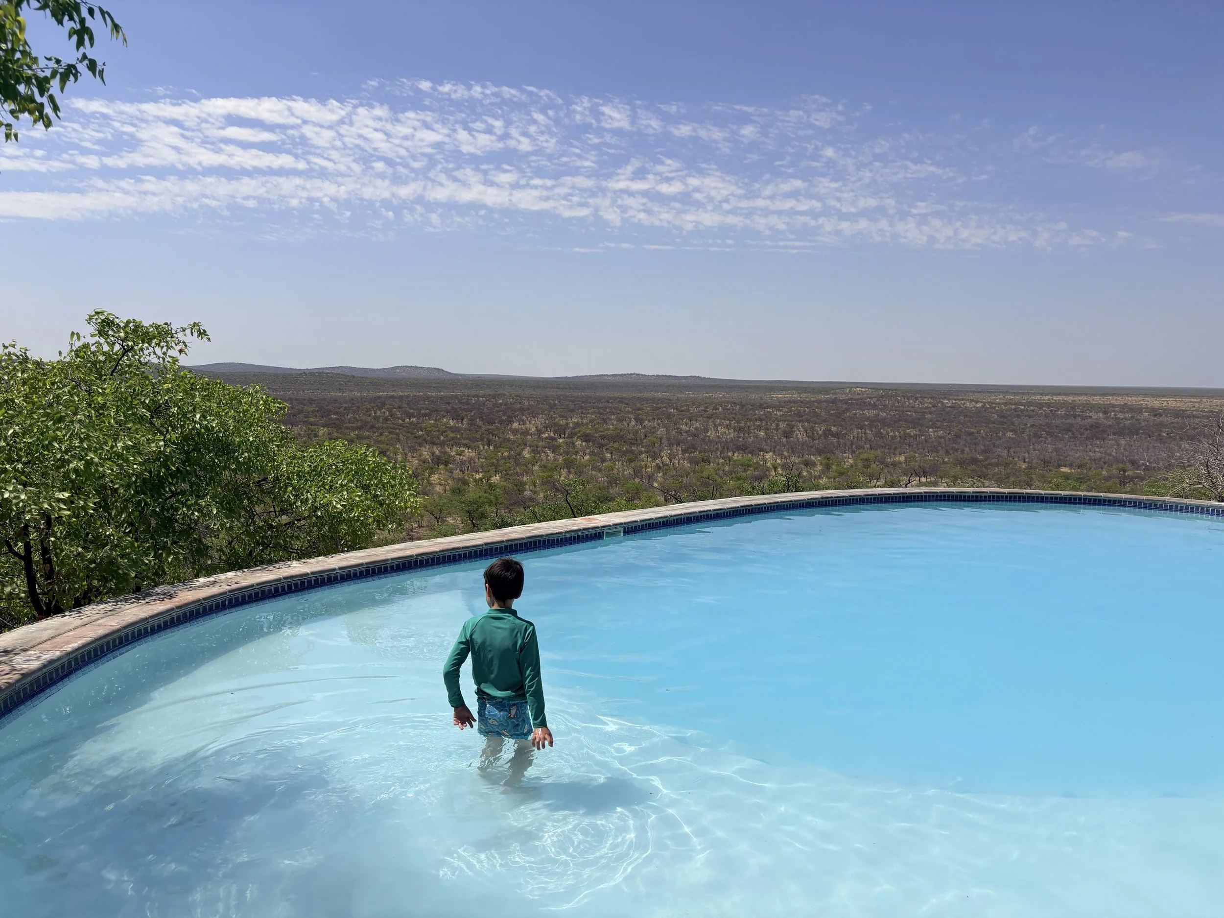 Luxury in the Wild: A Guide to High-End Family Safaris