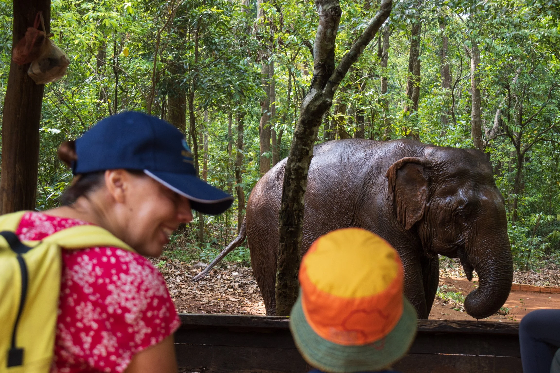 Elephant Valley