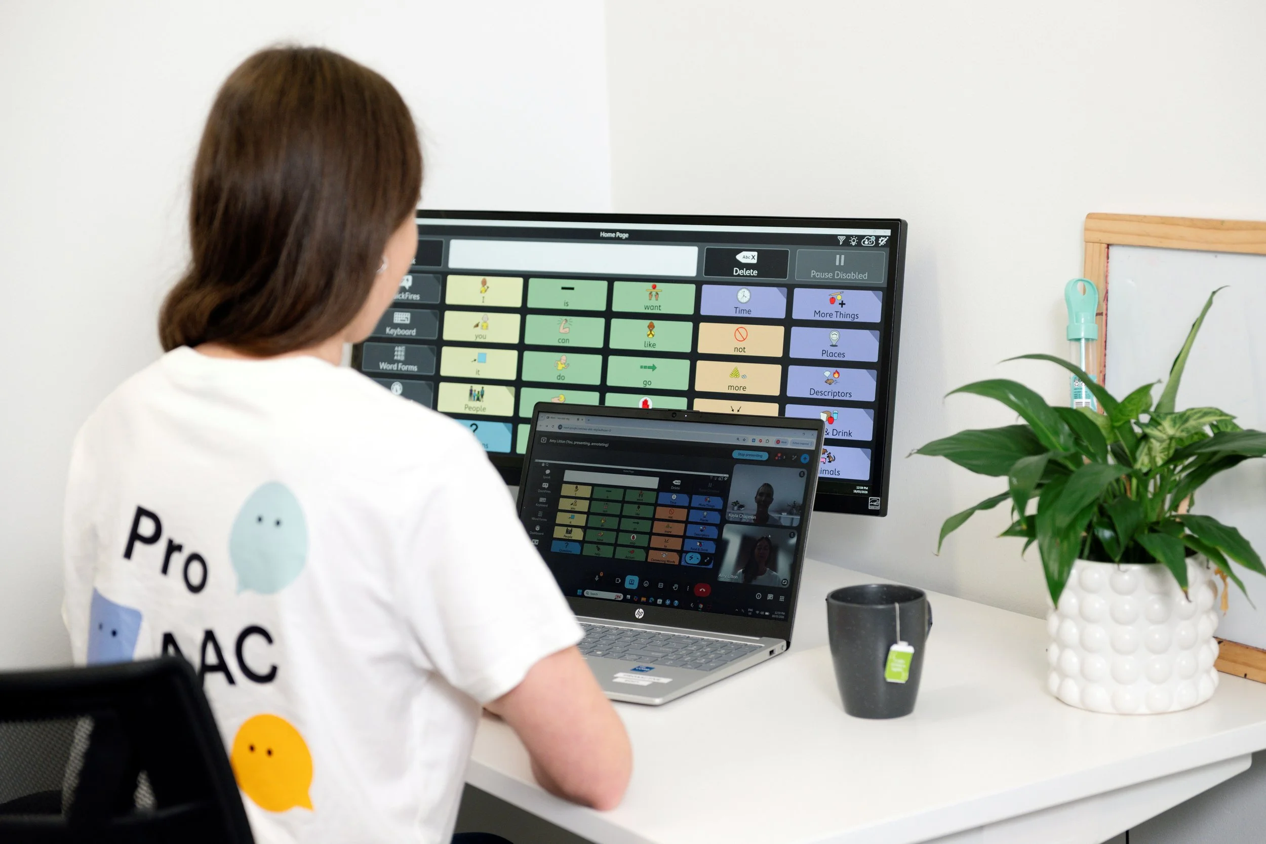 therapist on the computer training others