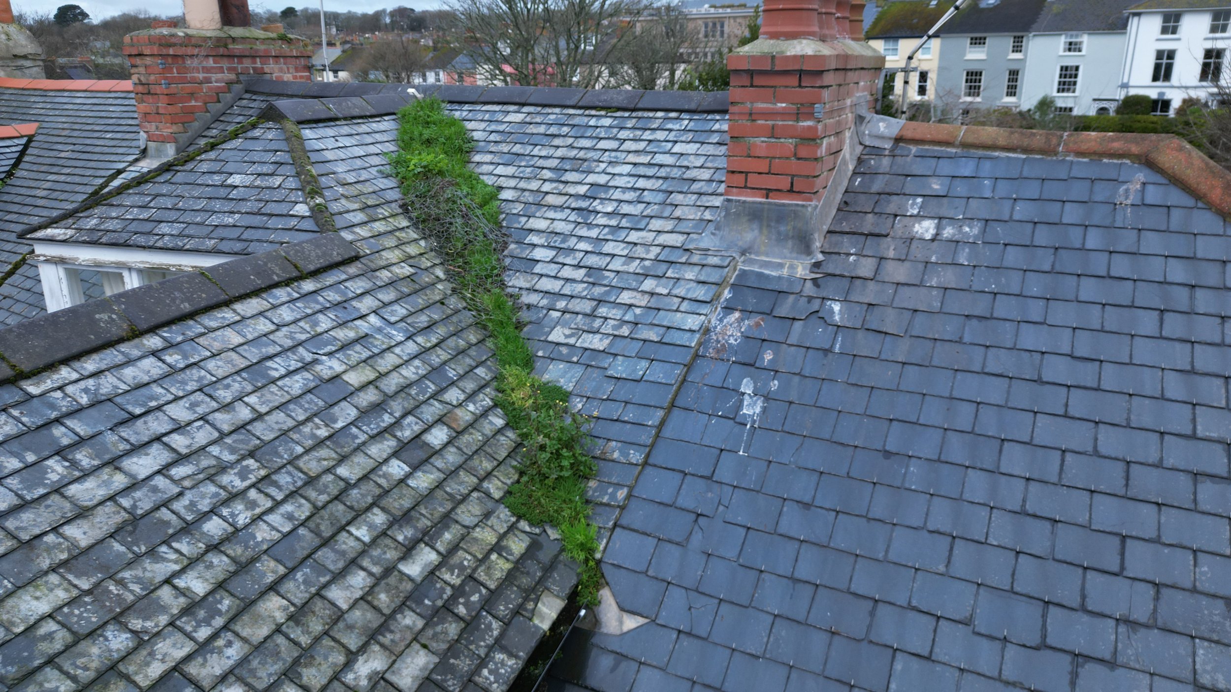 Image of a rooftop with moss and weeds growing between the roof tiles and a brick chimney.