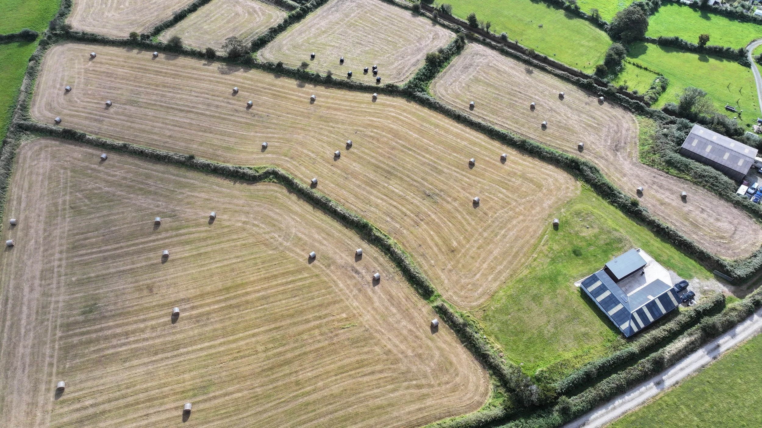 DJI_20240903094336_0040_D.JPG