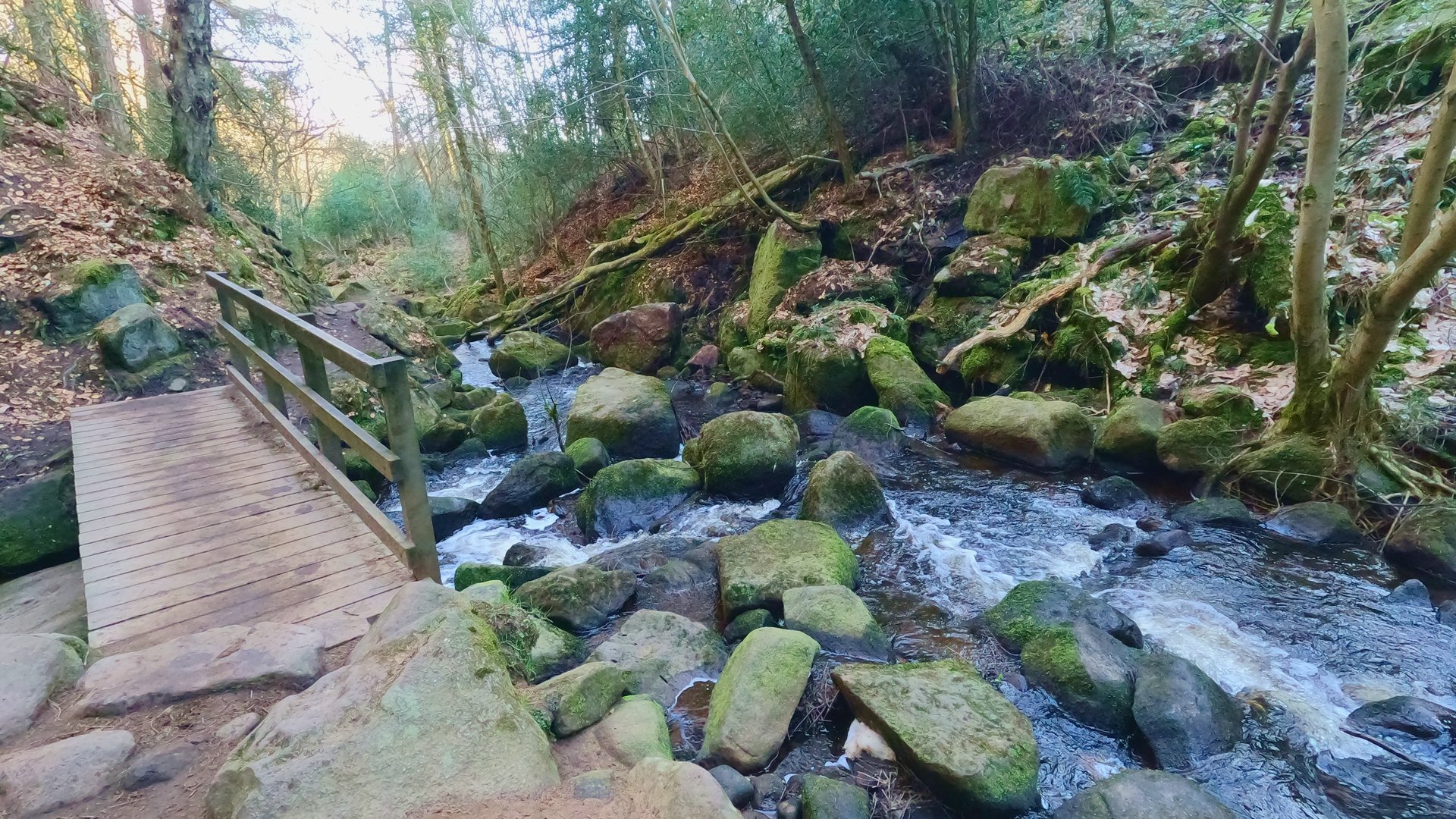 Wyming Brook