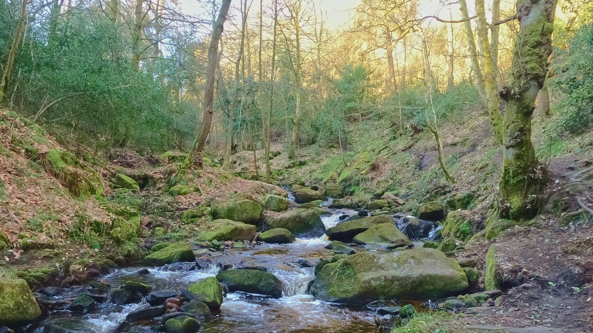 Wyming Brook