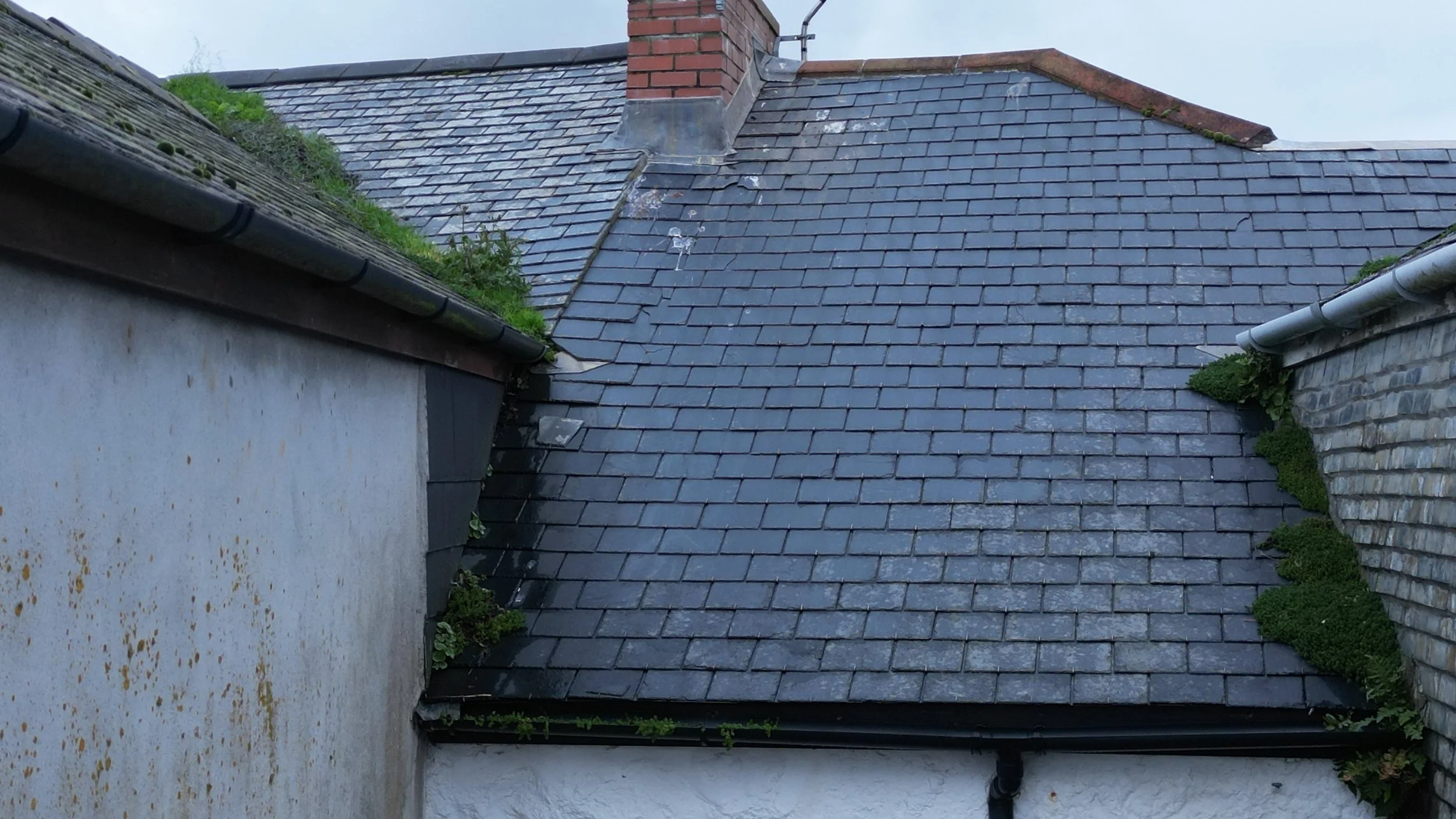 Roof with dark slate tiles and moss, a brick chimney, and a gutter system, with some plants growing along the edges.
