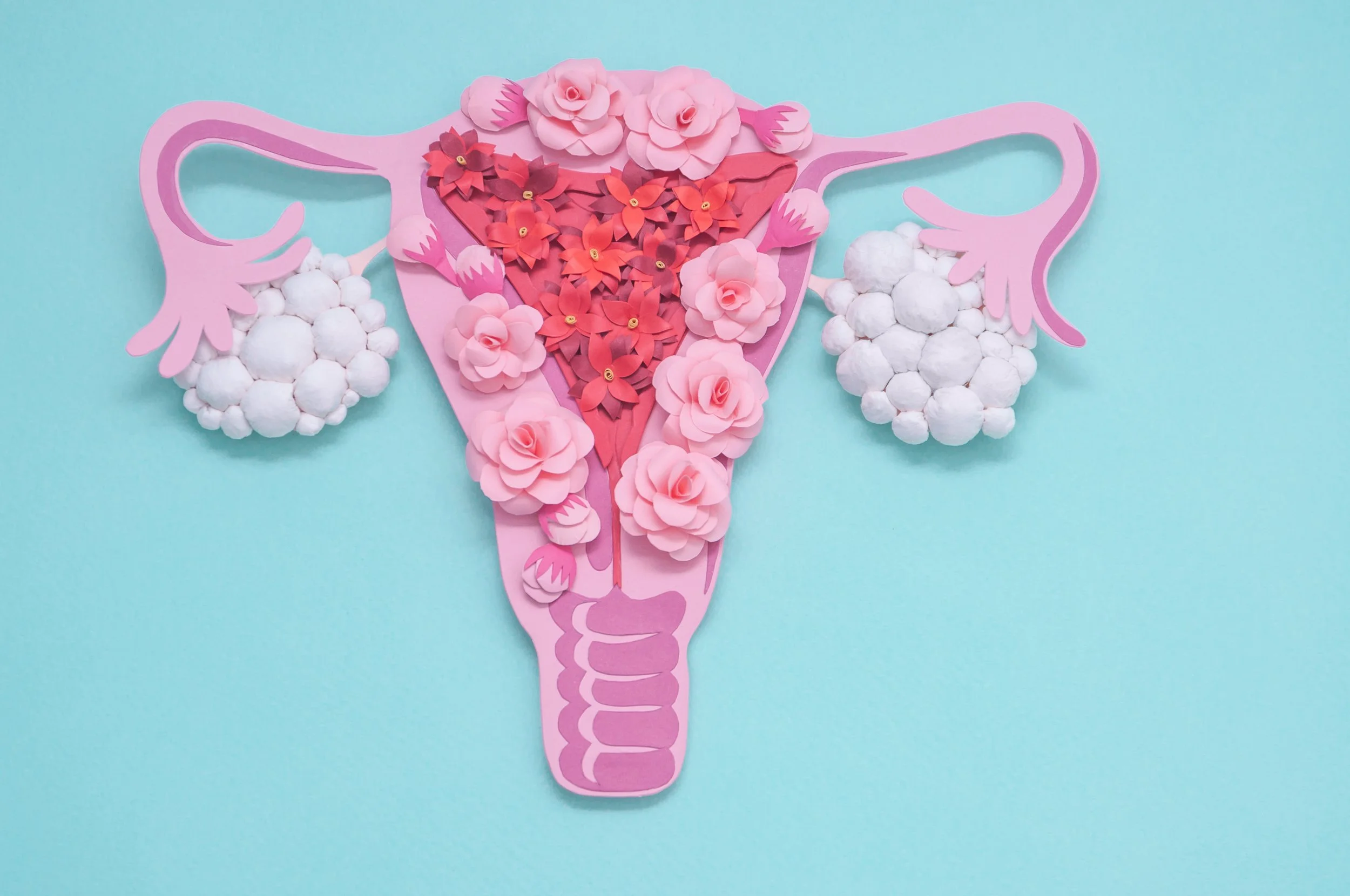 Polyendocrine Metabolic Ovarian Syndrome (PMOS): New name for PCOS to improve diagnosis and care of condition affecting 3.1 million in the UK