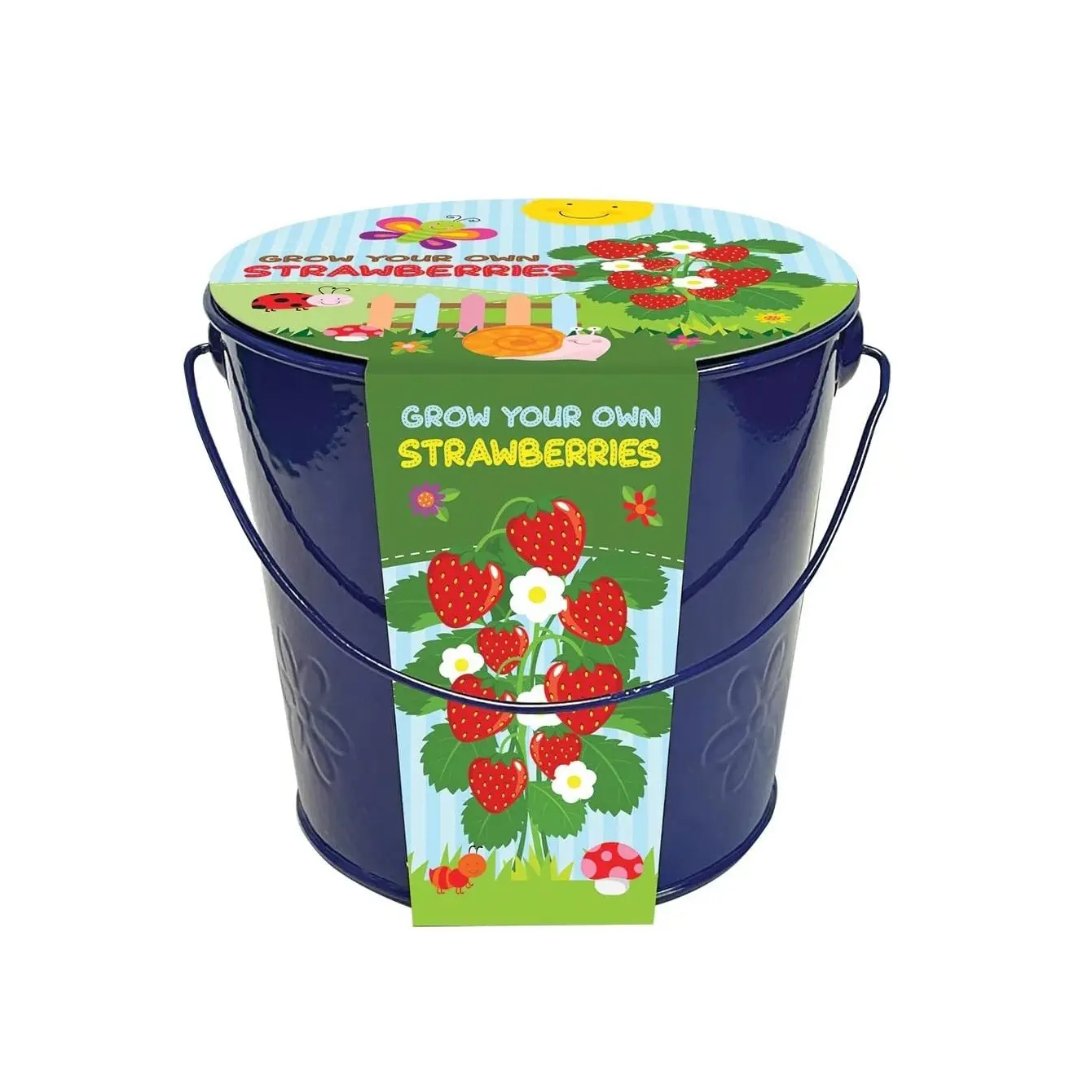 Grow Your Own Strawberries in a Bucket, £7