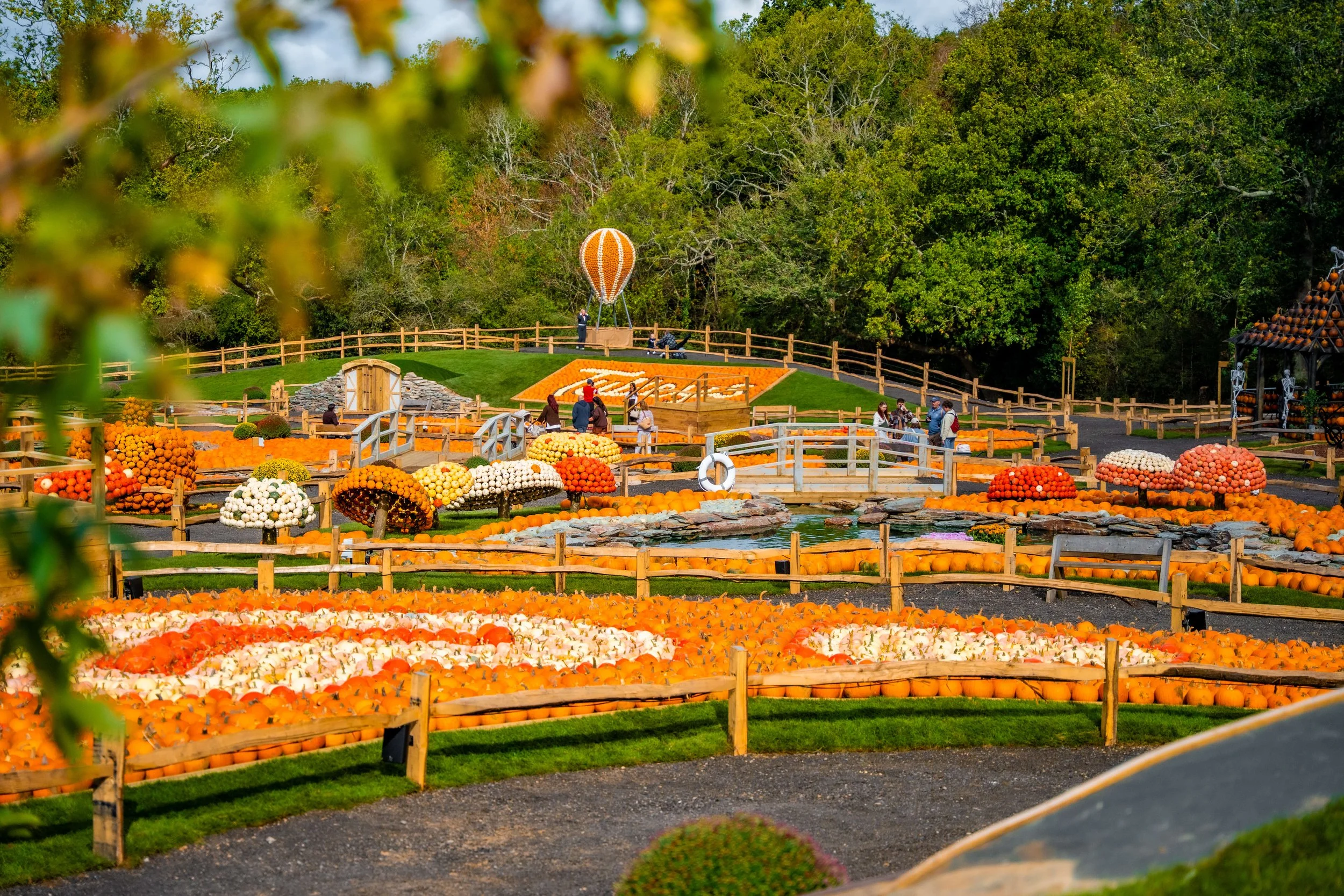 Europe’s largest pumpkin festival fast becoming social media phenomenon