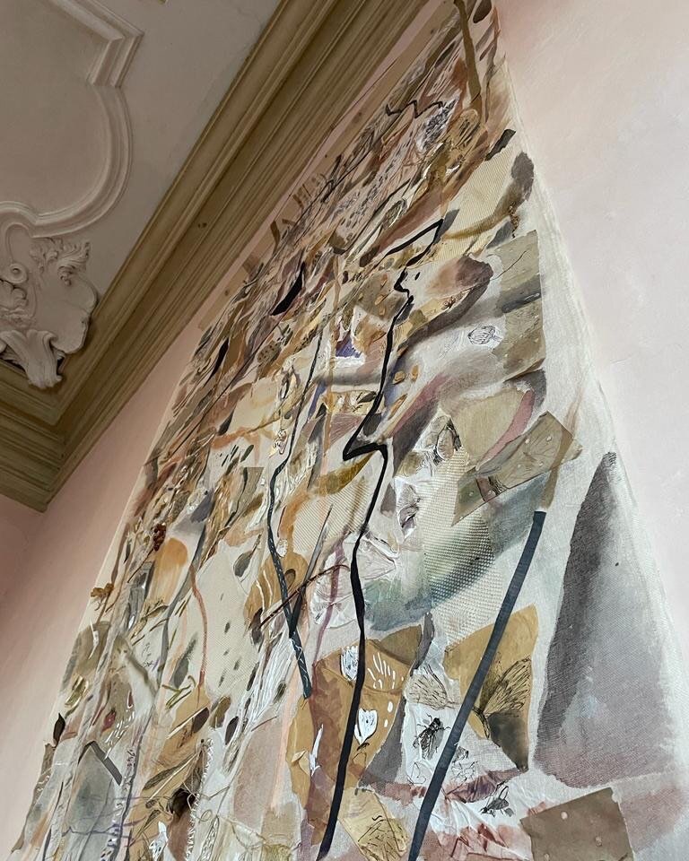 Olimpia Biasi #Palazzo Pisani #Conservatorio Benedetto Marcello #Venezia# Installazione #&rsquo;per erbe ed altri incanti #