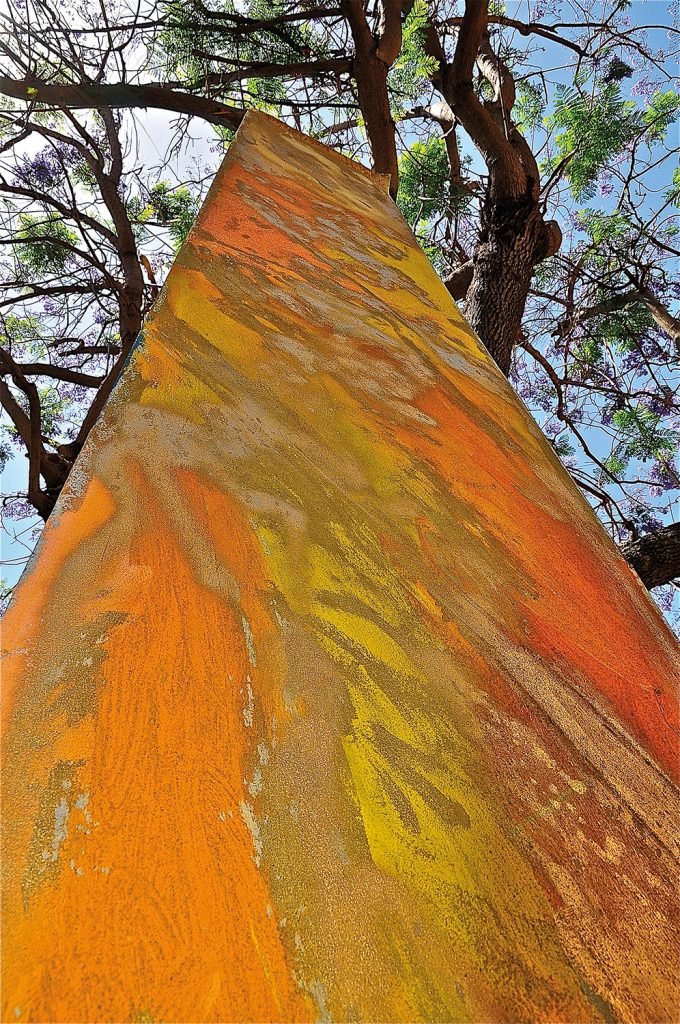pittura_biasi13.jpg