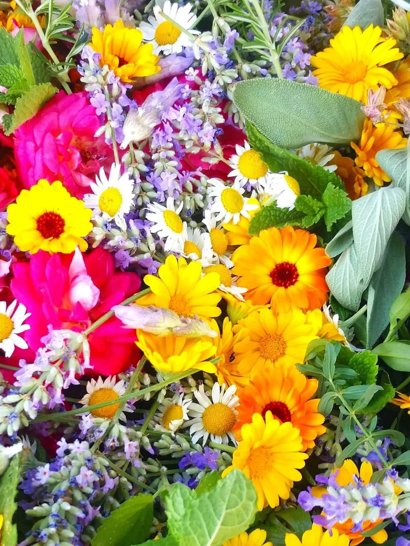 Herbal Beauty Box (Summer Special)