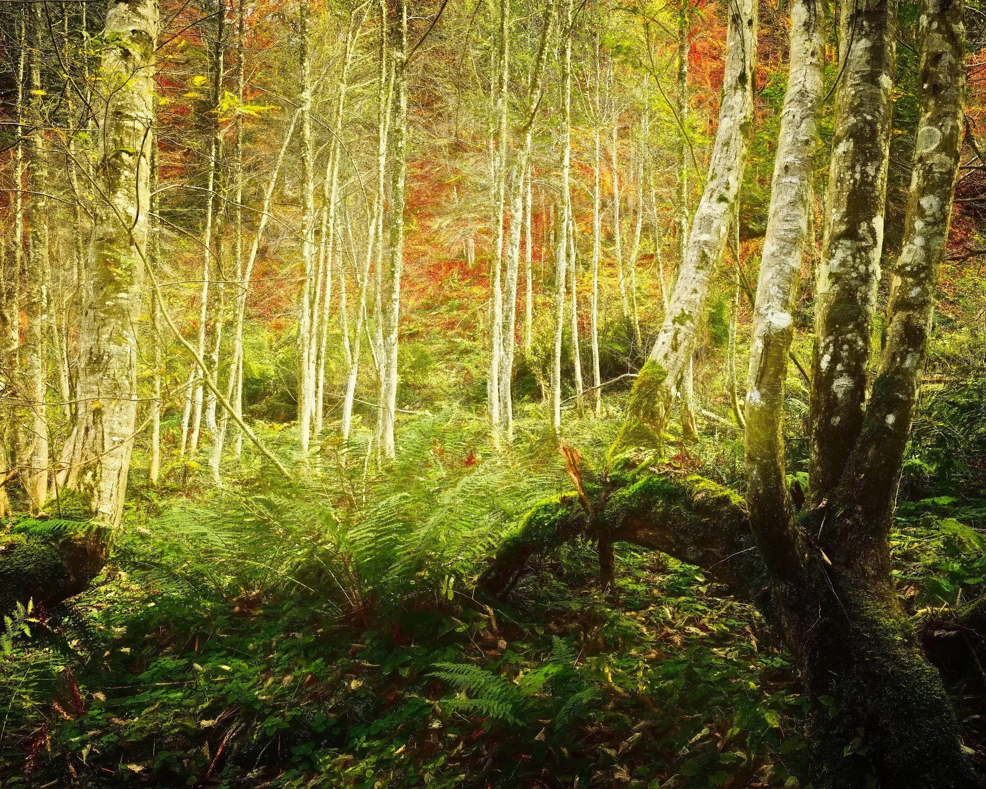 20221015_097_2023 Kunstfieber_PRINT.jpg