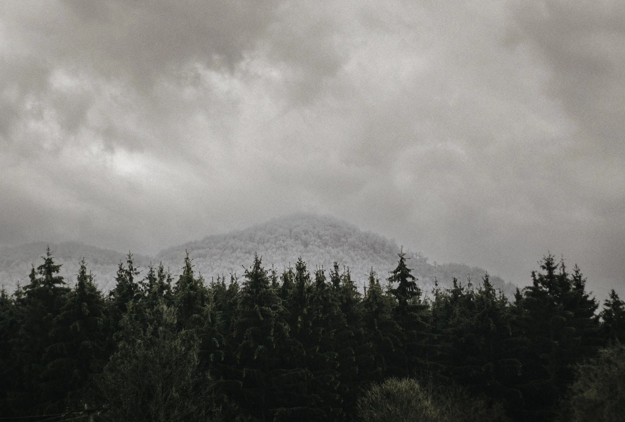 IMG_6683-Edit-2 másolat.jpg