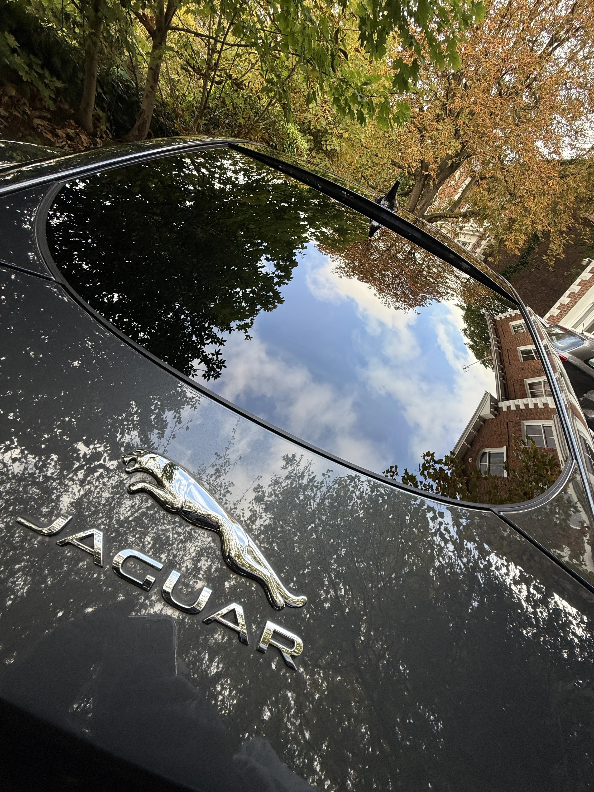 Close-up of the rear of a black Jaguar car, showing the silver Jaguar emblem and badge, with reflection of trees, sky, and a brick building on the car's rear window.