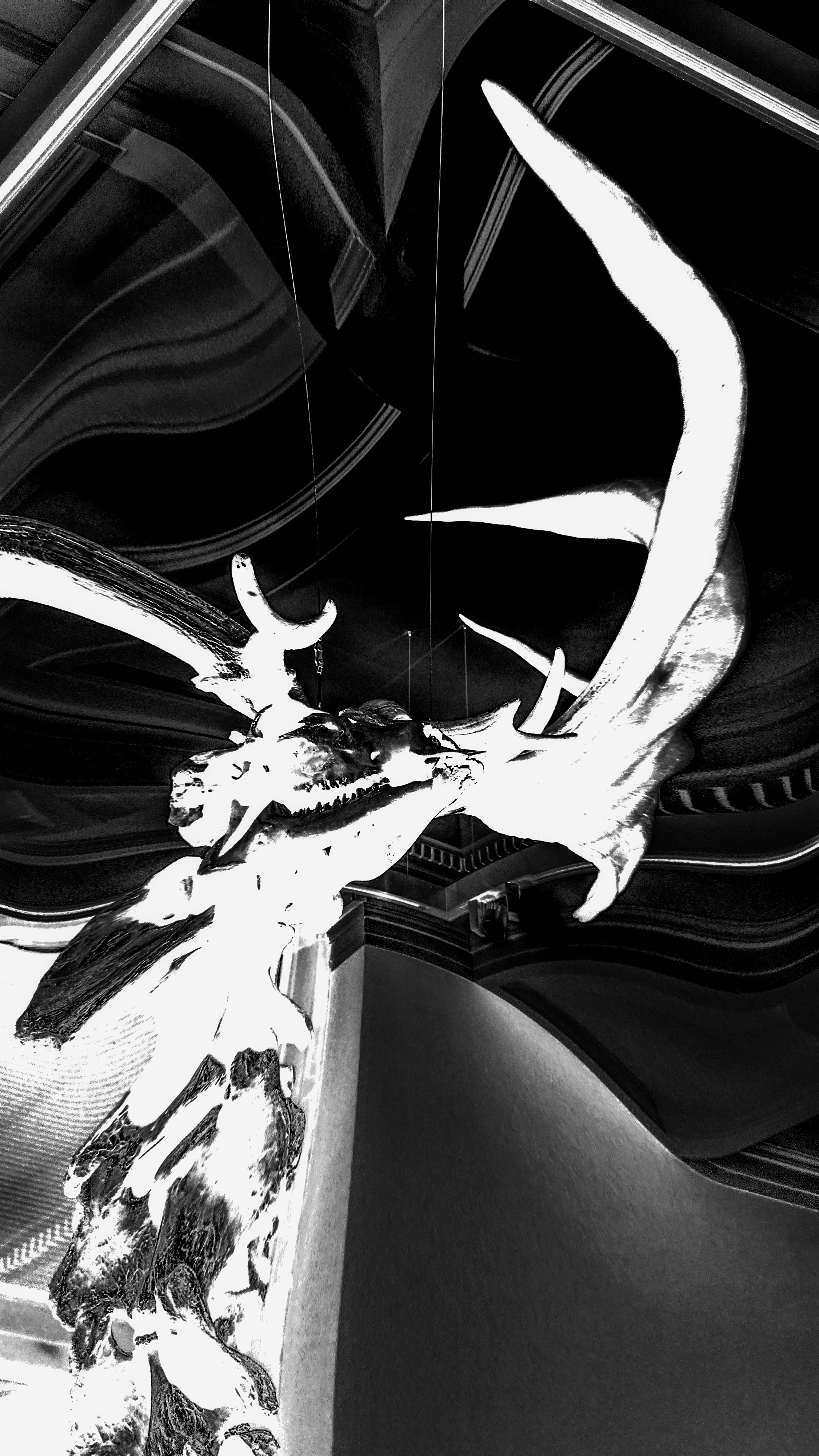 Newsletter #009: Decay