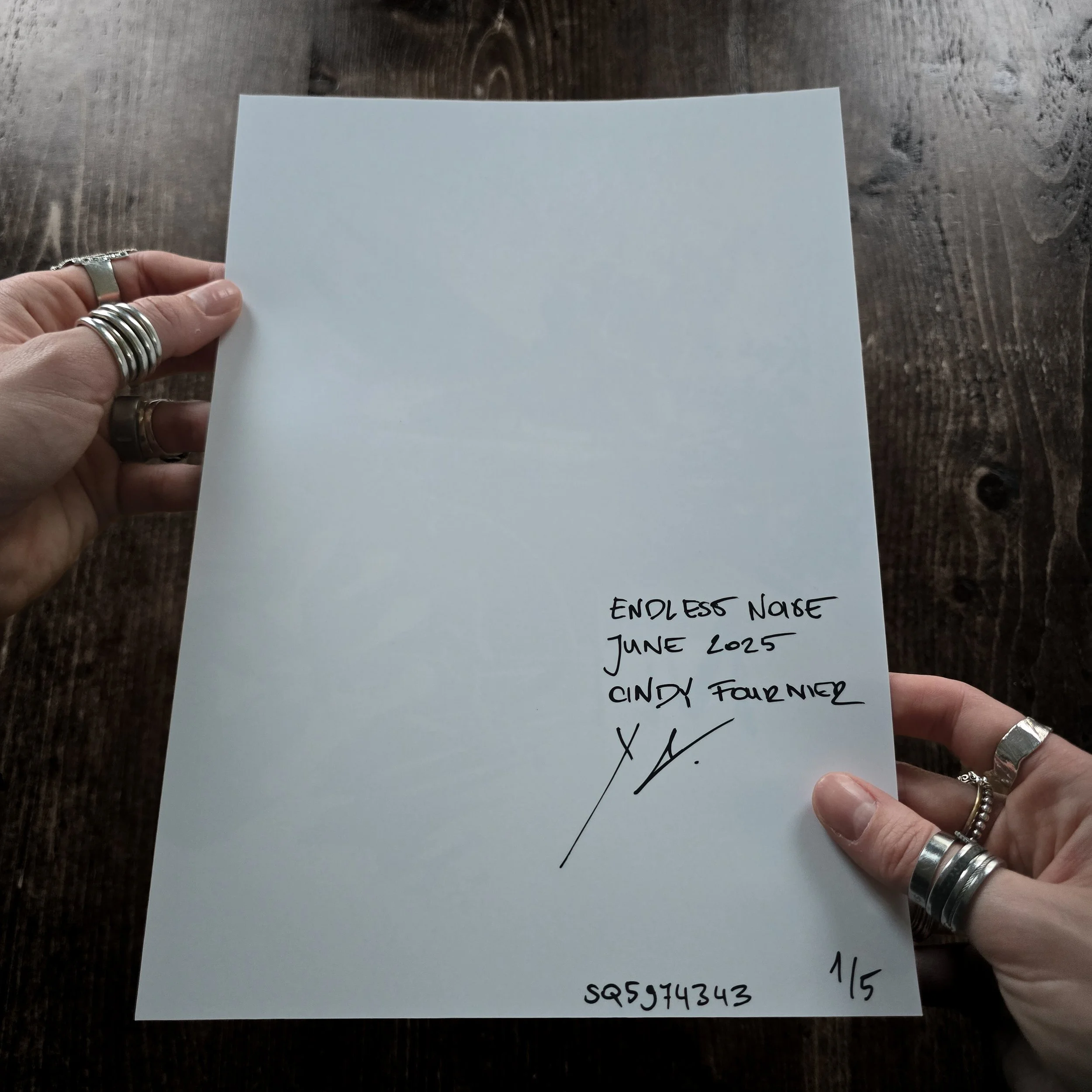 Endless Noise ©Cindy Fournier Collage art A4 poster – June 2025 Verso.jpg