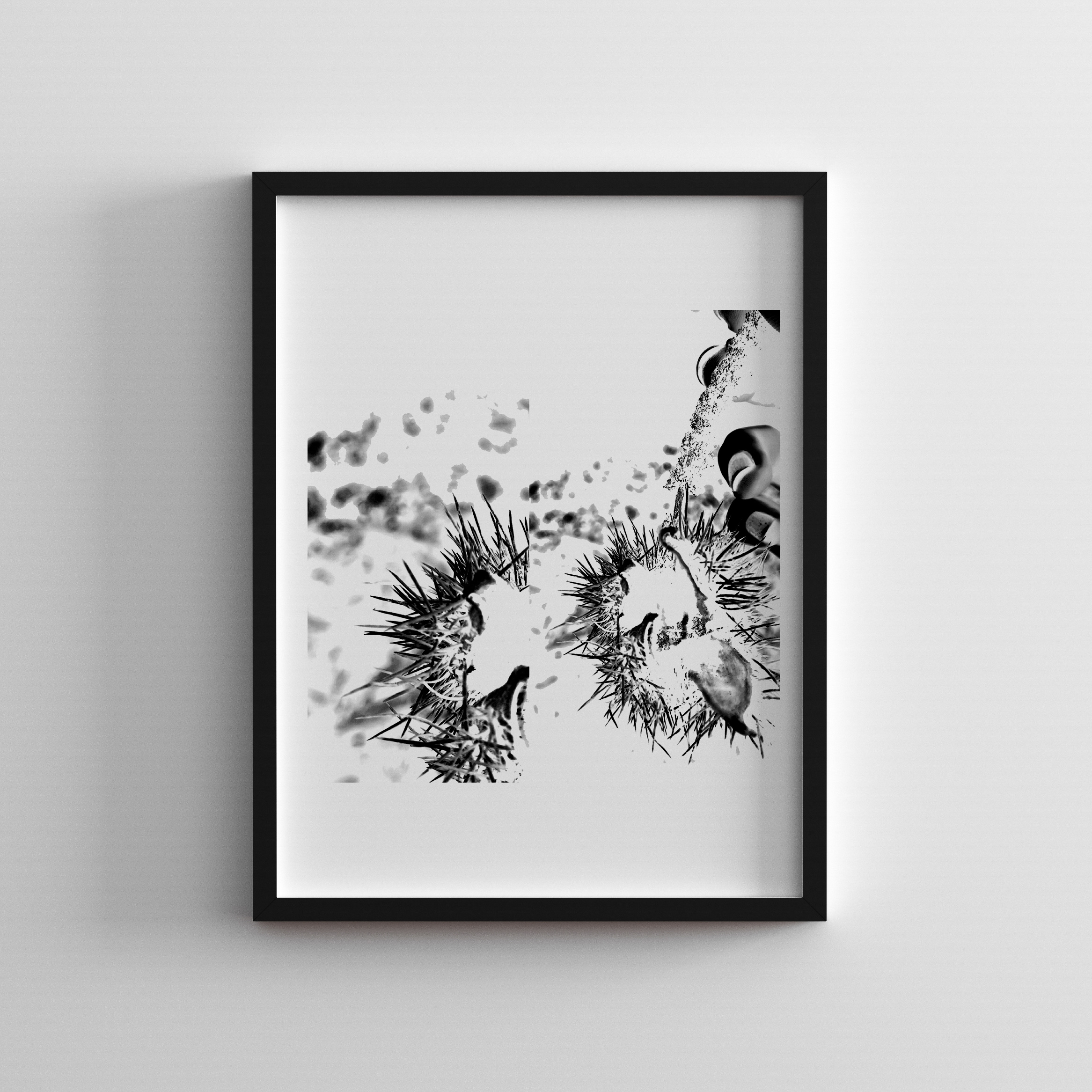 Forbidden Fruit – Cindy Fournier – Photography Print.png